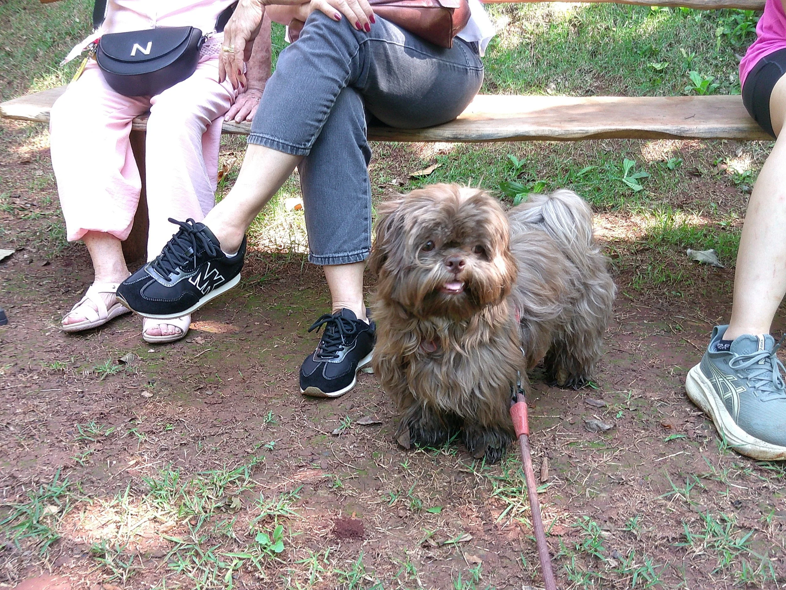 DSCF0439.JPG