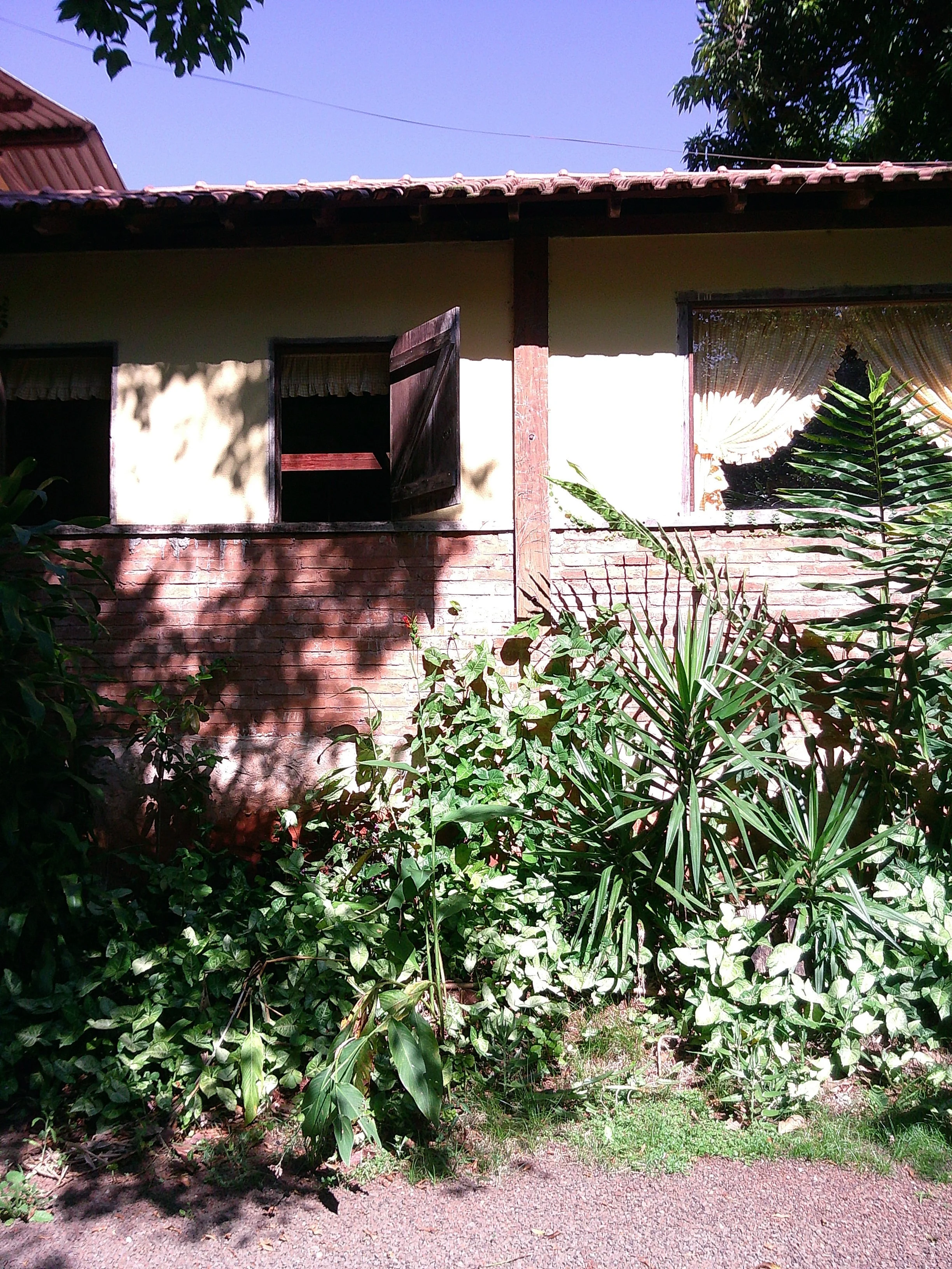 DSCF0441.JPG