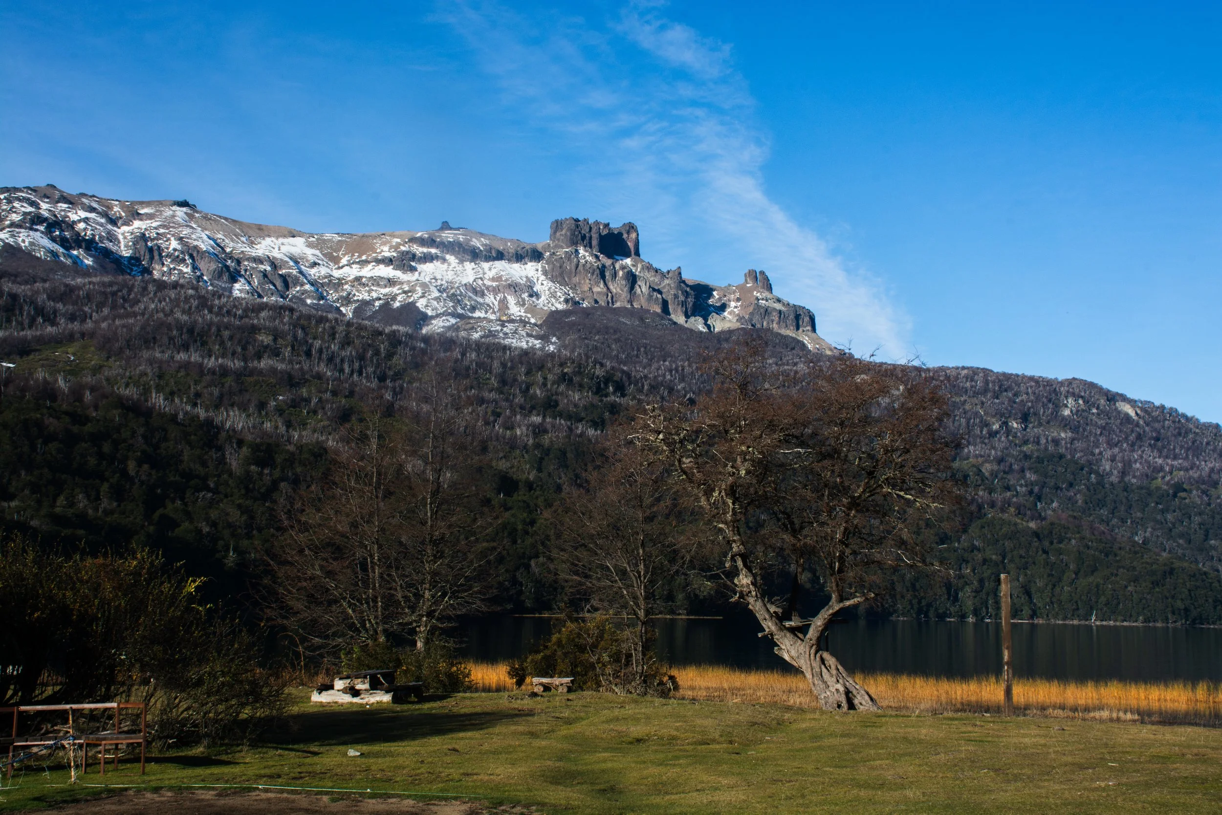 20230618ArgentinaD7100-481-1.jpg