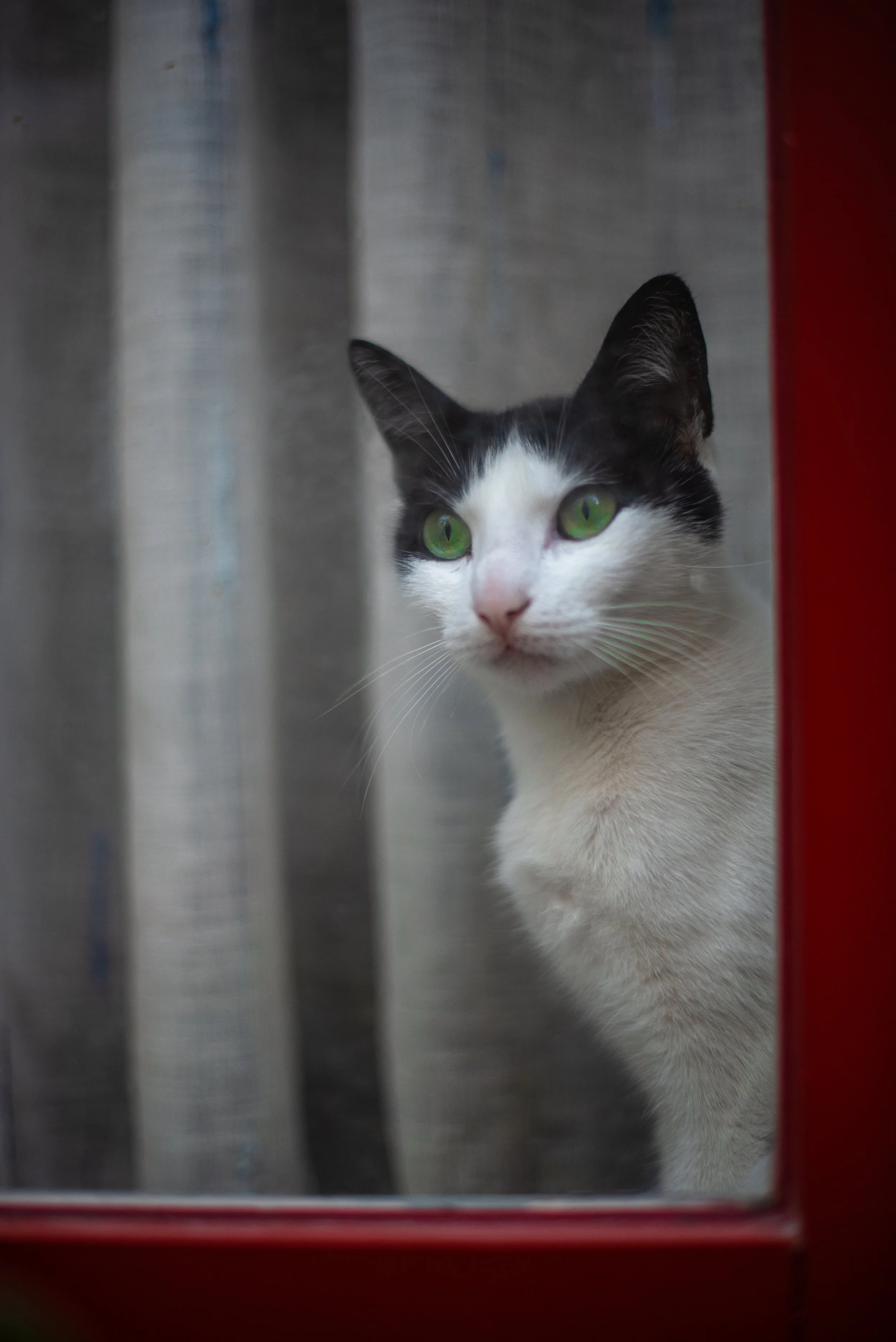 20190527CidadedoPortoD750-750-1.jpg