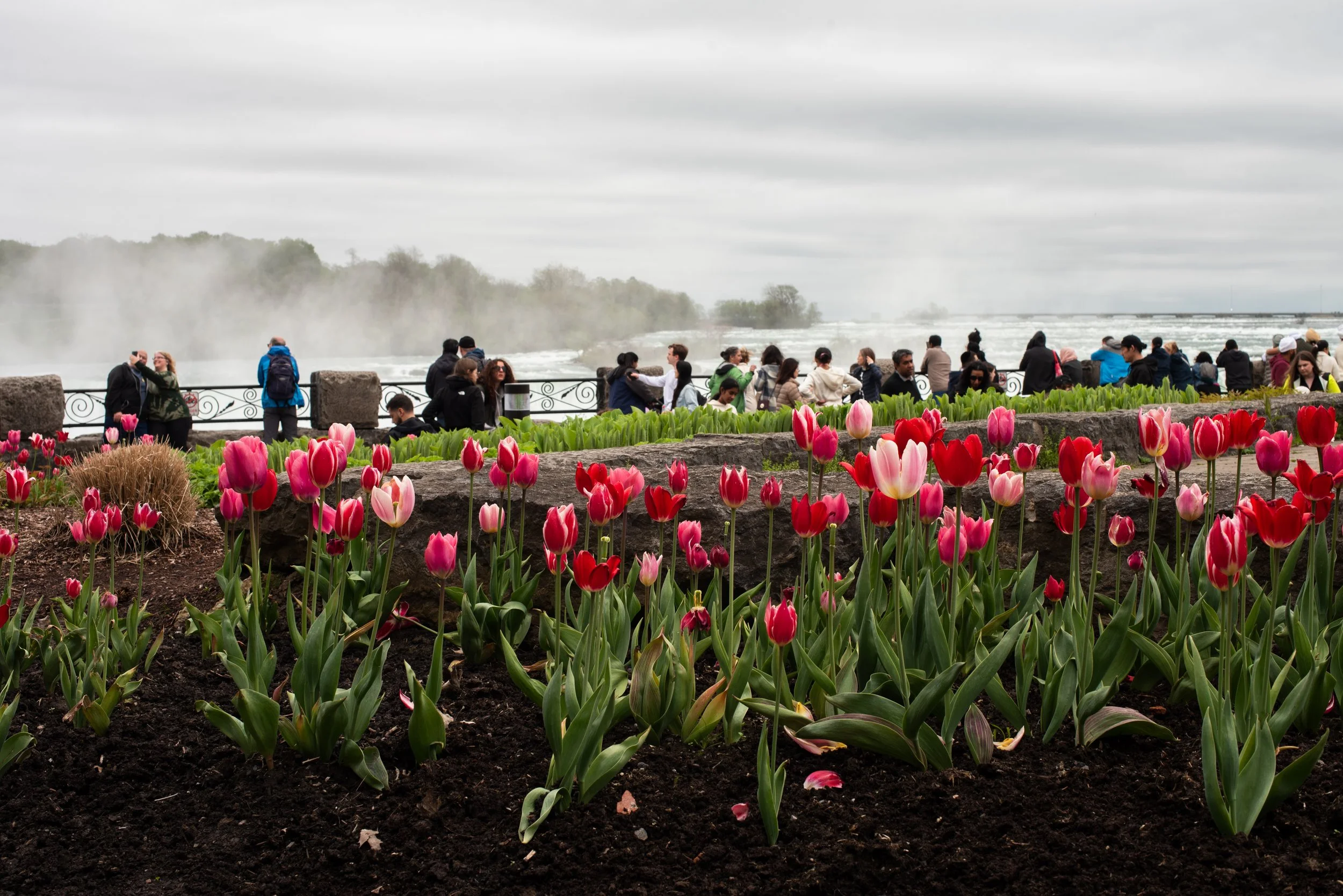 20240505NiagaraFallsD750-257-1.jpg
