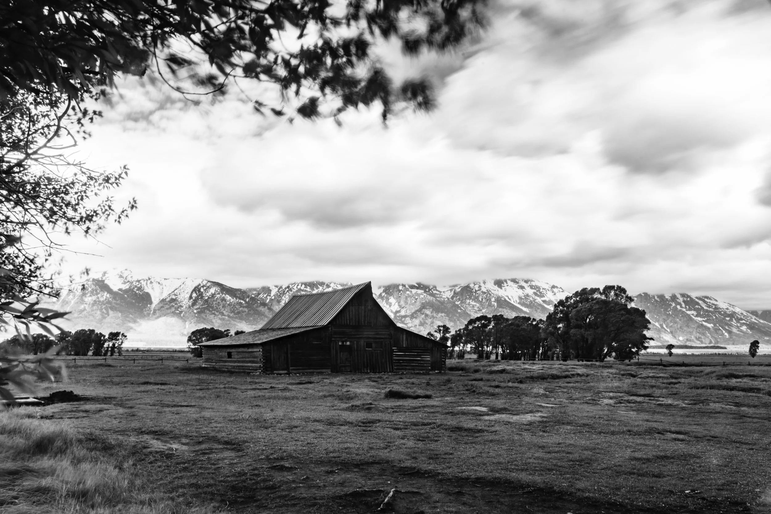 20170616GrandTetonLandscapes-28-1.jpg