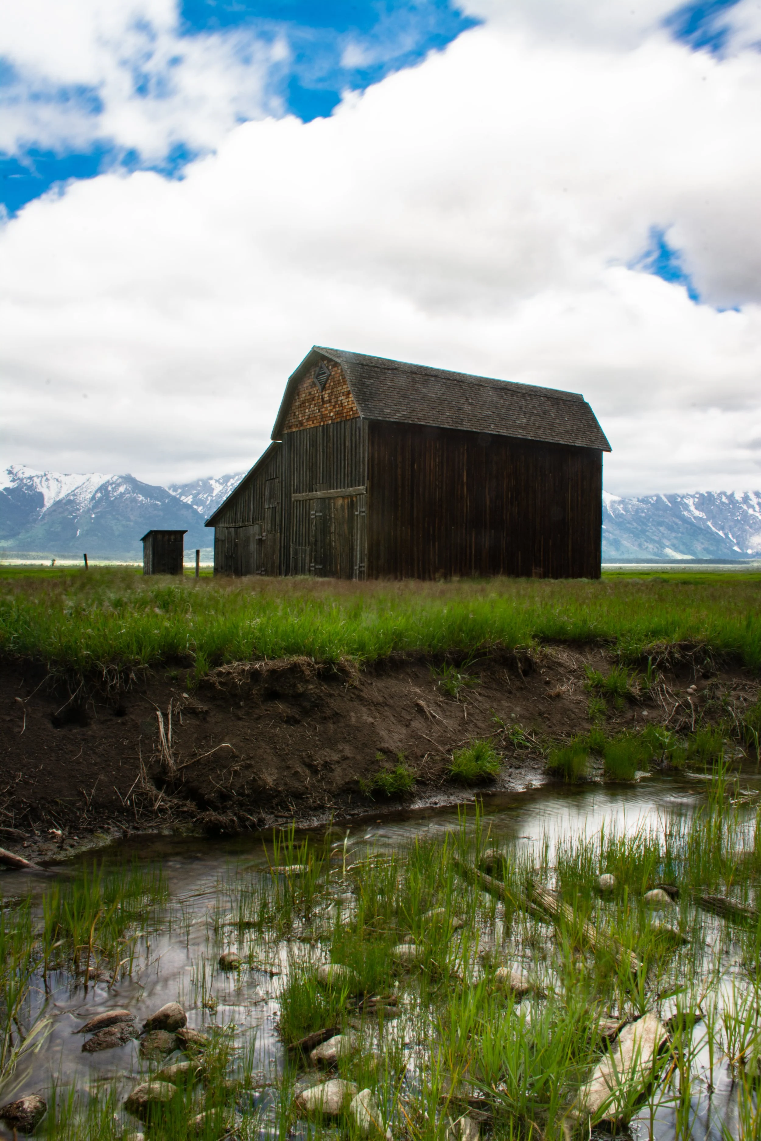 20170616GrandTetonLandscapes-130-1.jpg