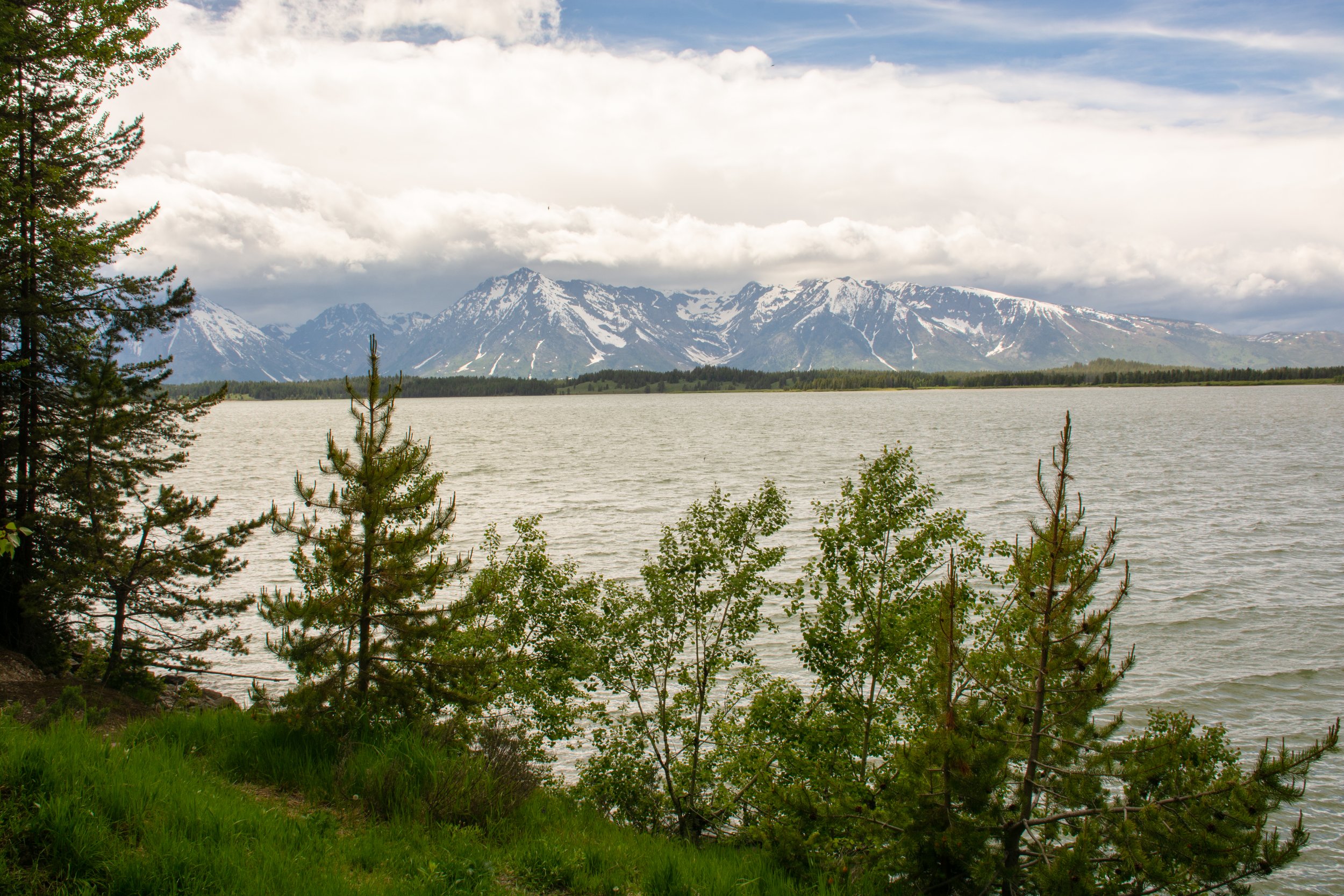 20170616GrandTetonLandscapes-257-1.jpg