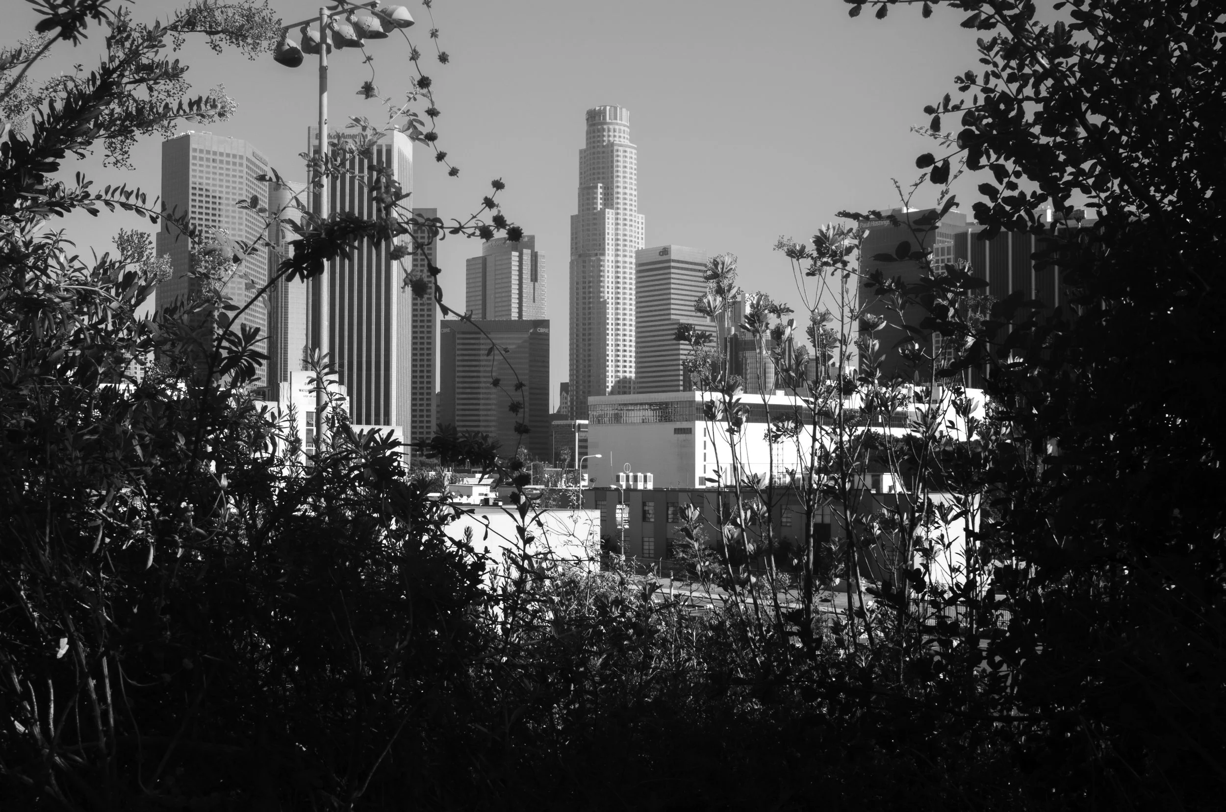 20150620DowntownLA-8-1.jpg