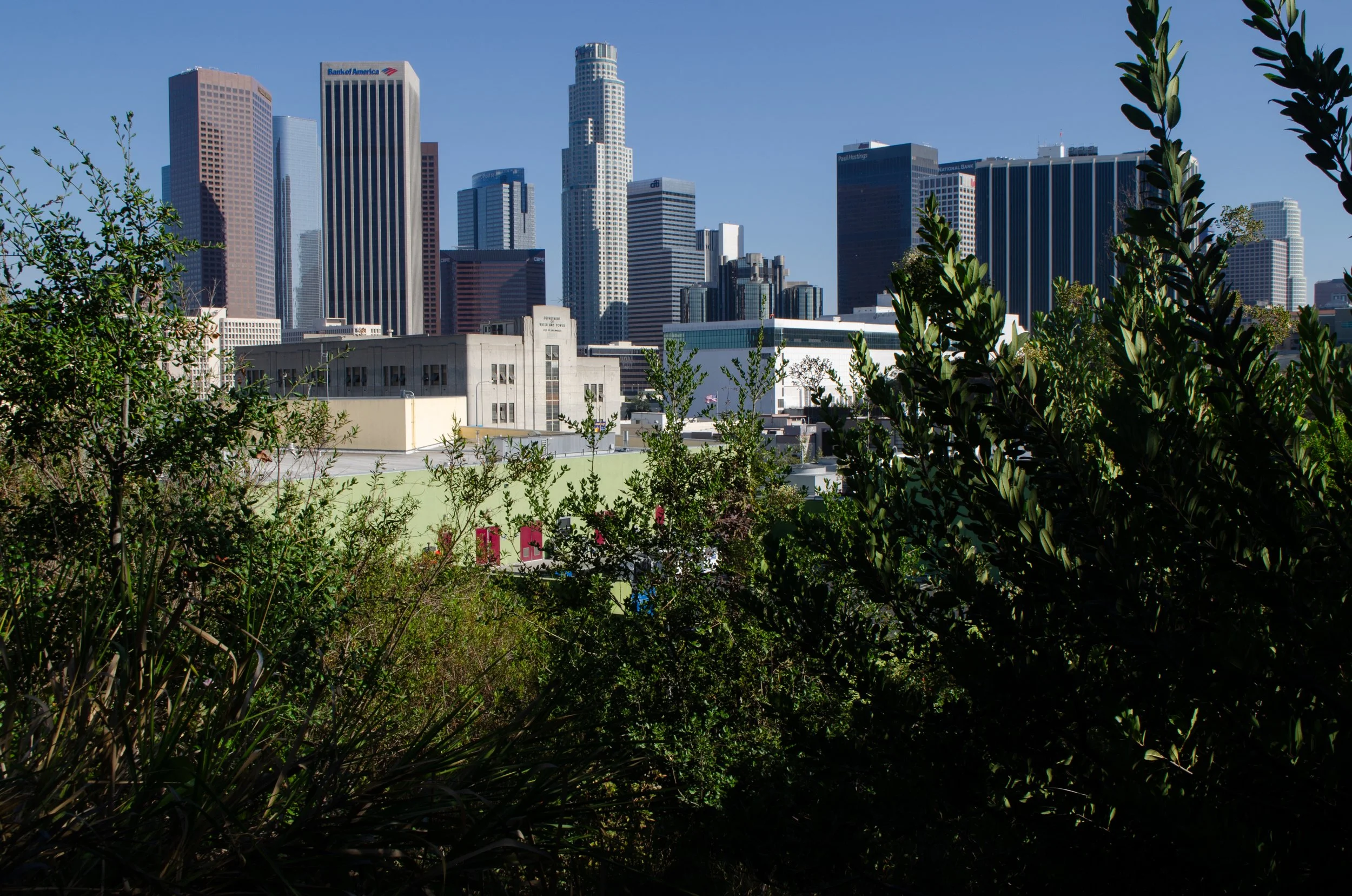 20150620DowntownLA-16-1.jpg