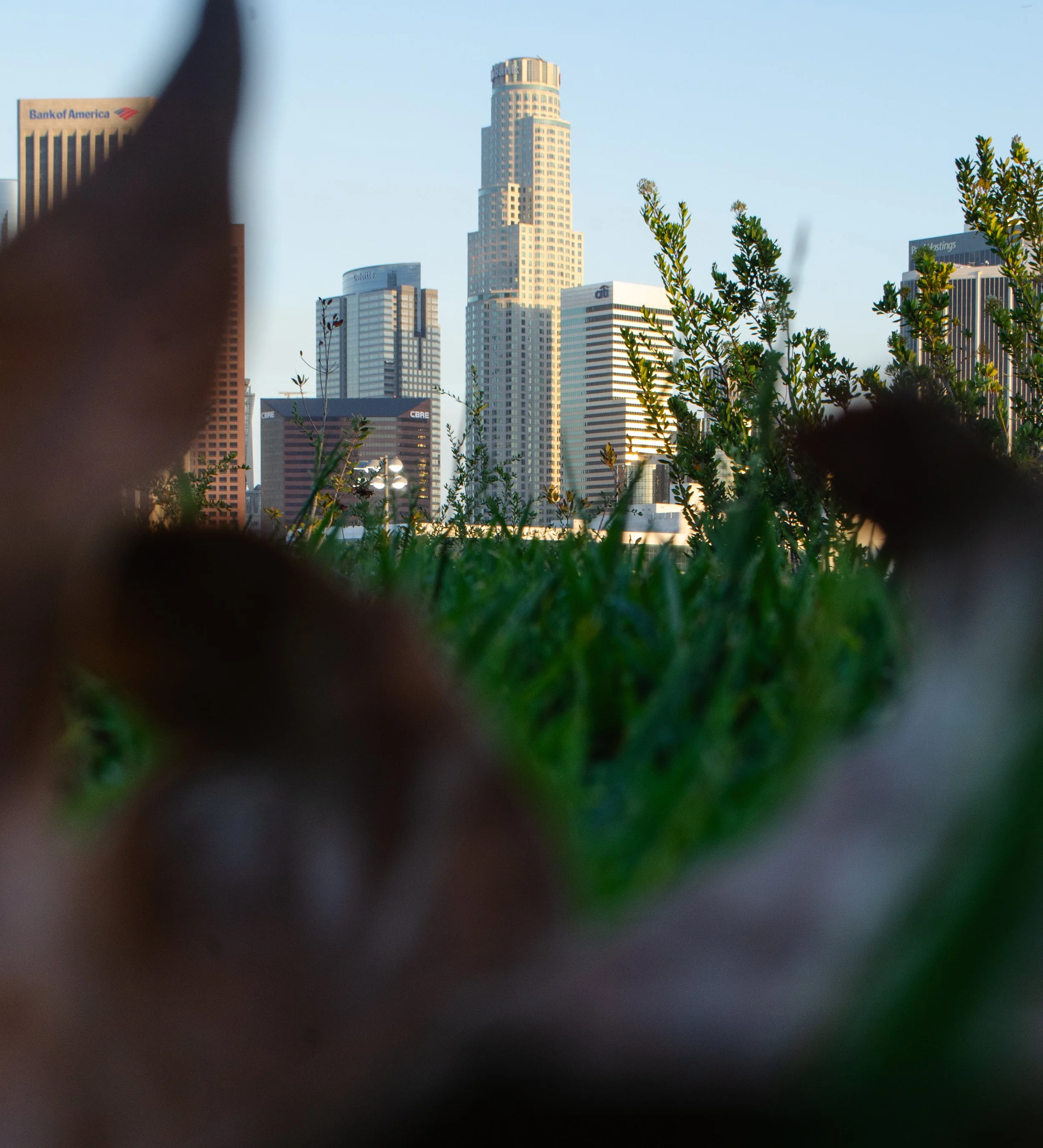 20150620DowntownLA-147-1.jpg