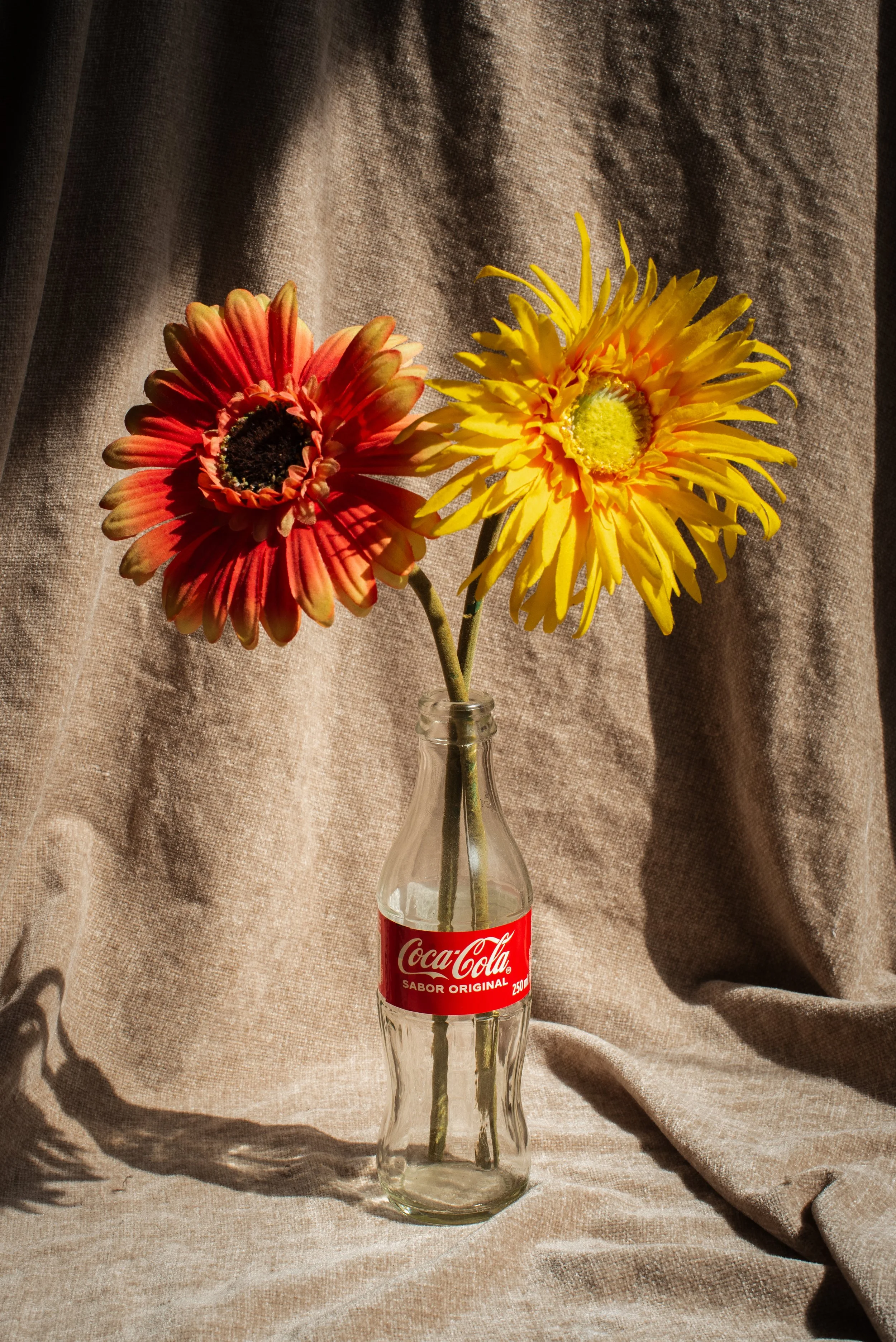 DSC_2117-1.jpg