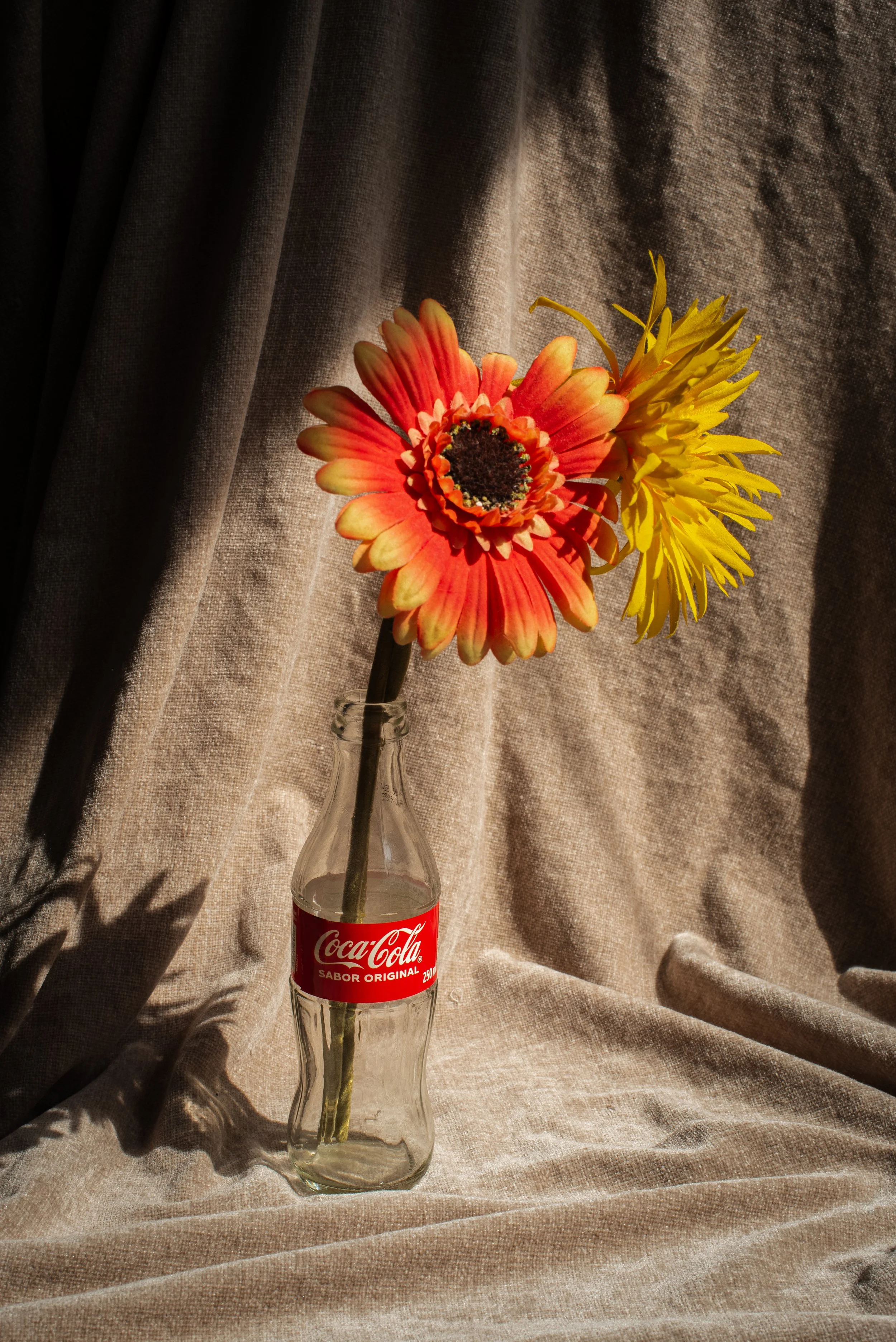 DSC_2119-1.jpg