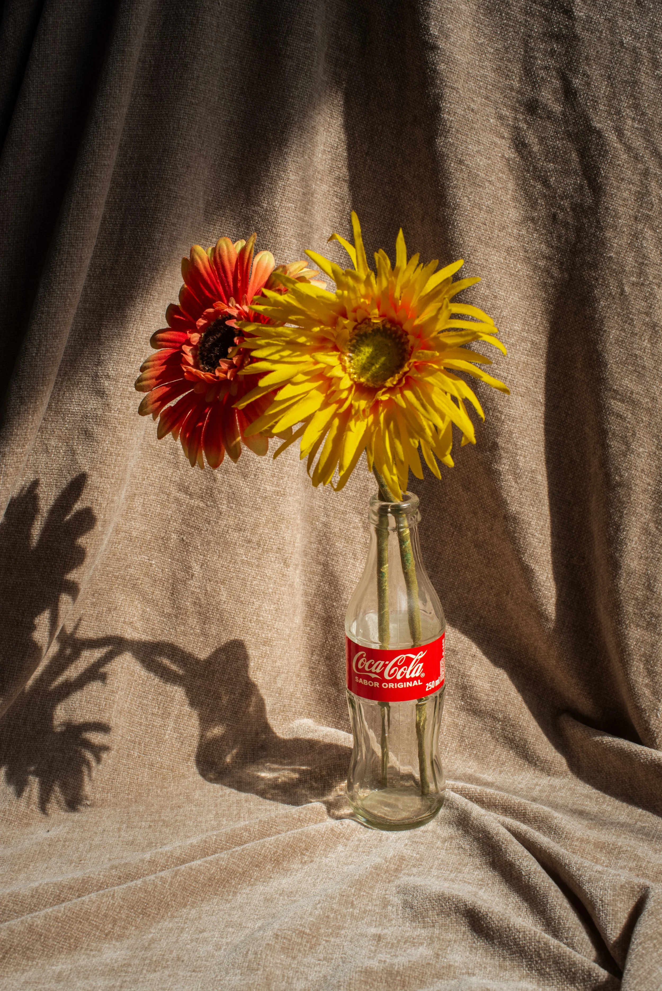 DSC_2120-1.jpg
