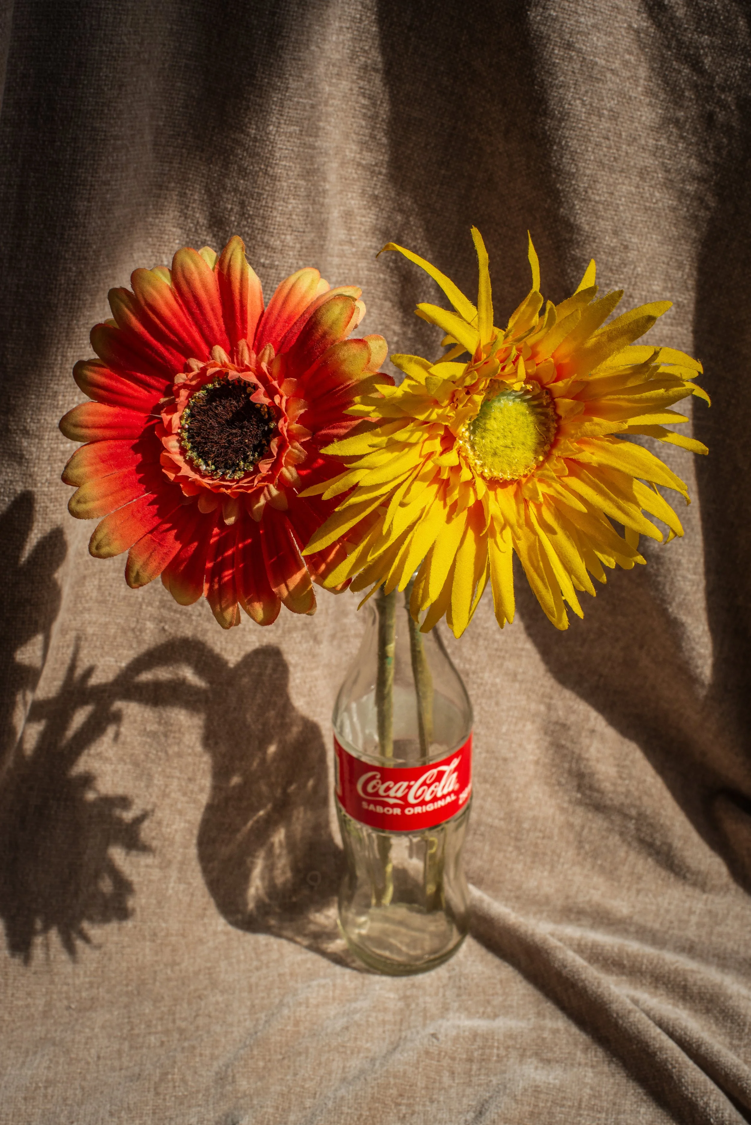 DSC_2123-1.jpg