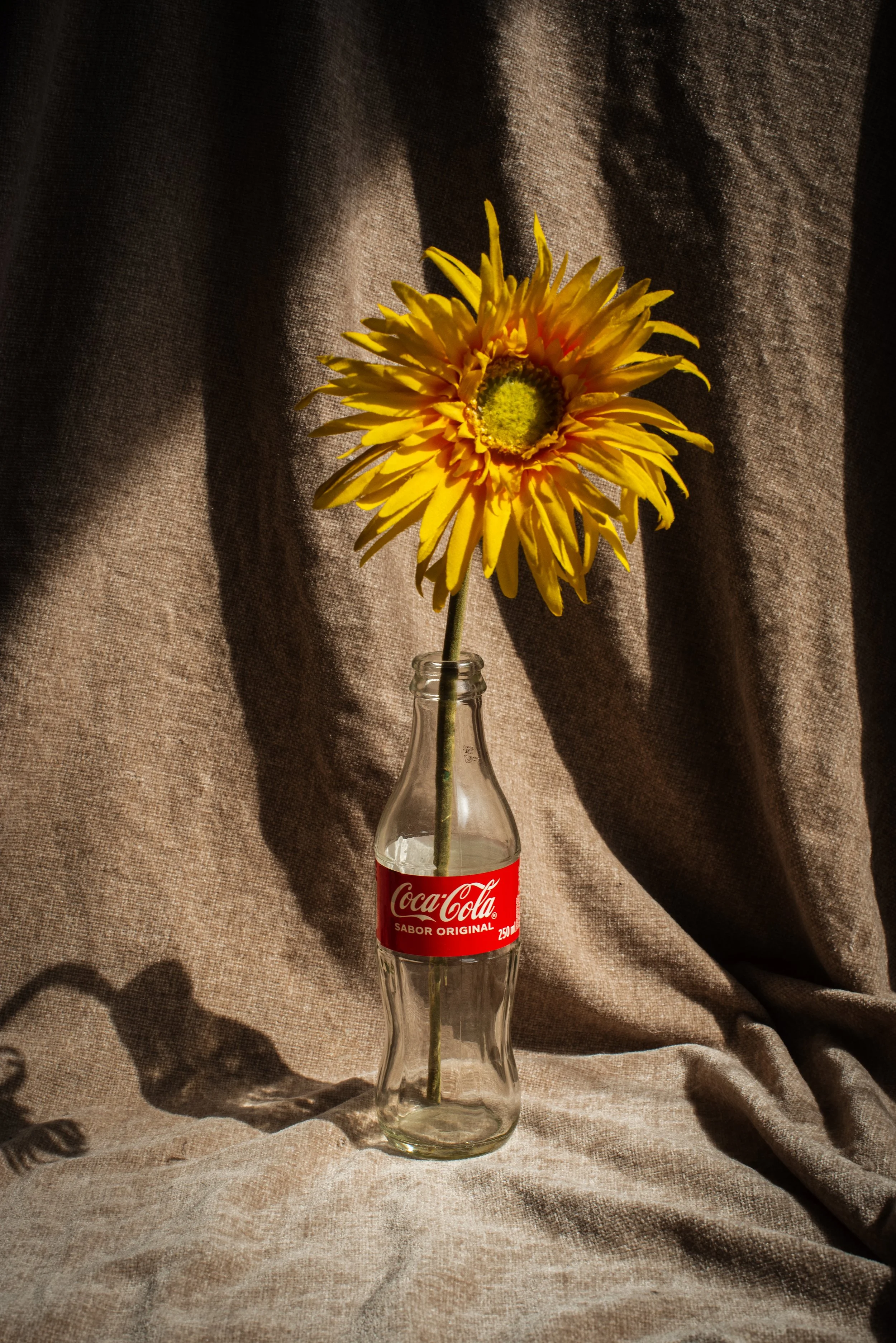 DSC_2127-1.jpg