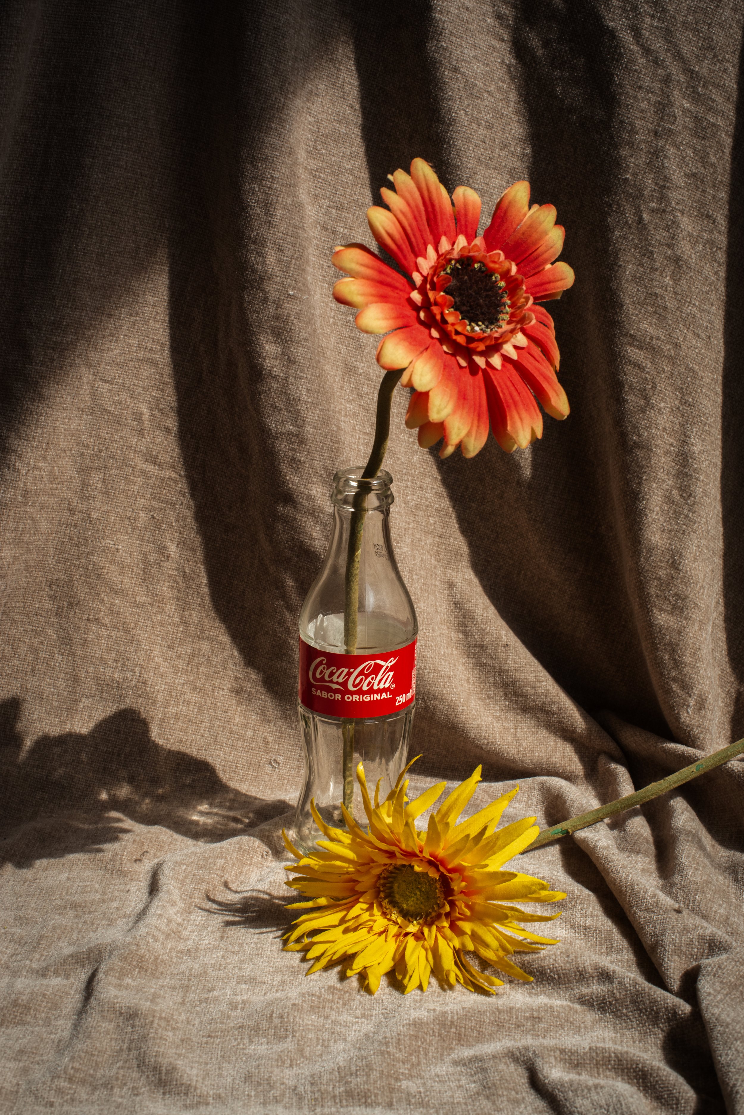 DSC_2129-1.jpg