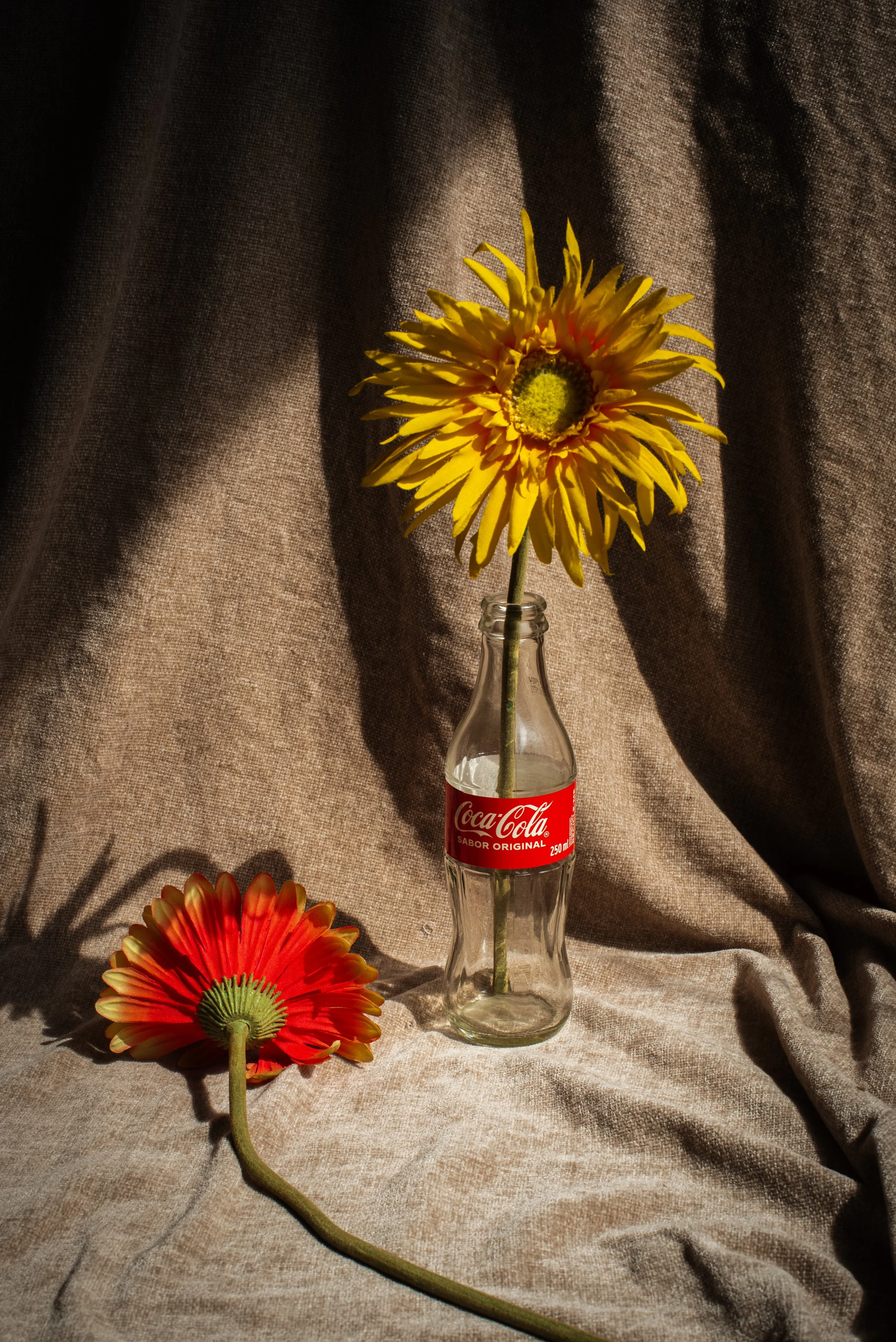 DSC_2128-1.jpg