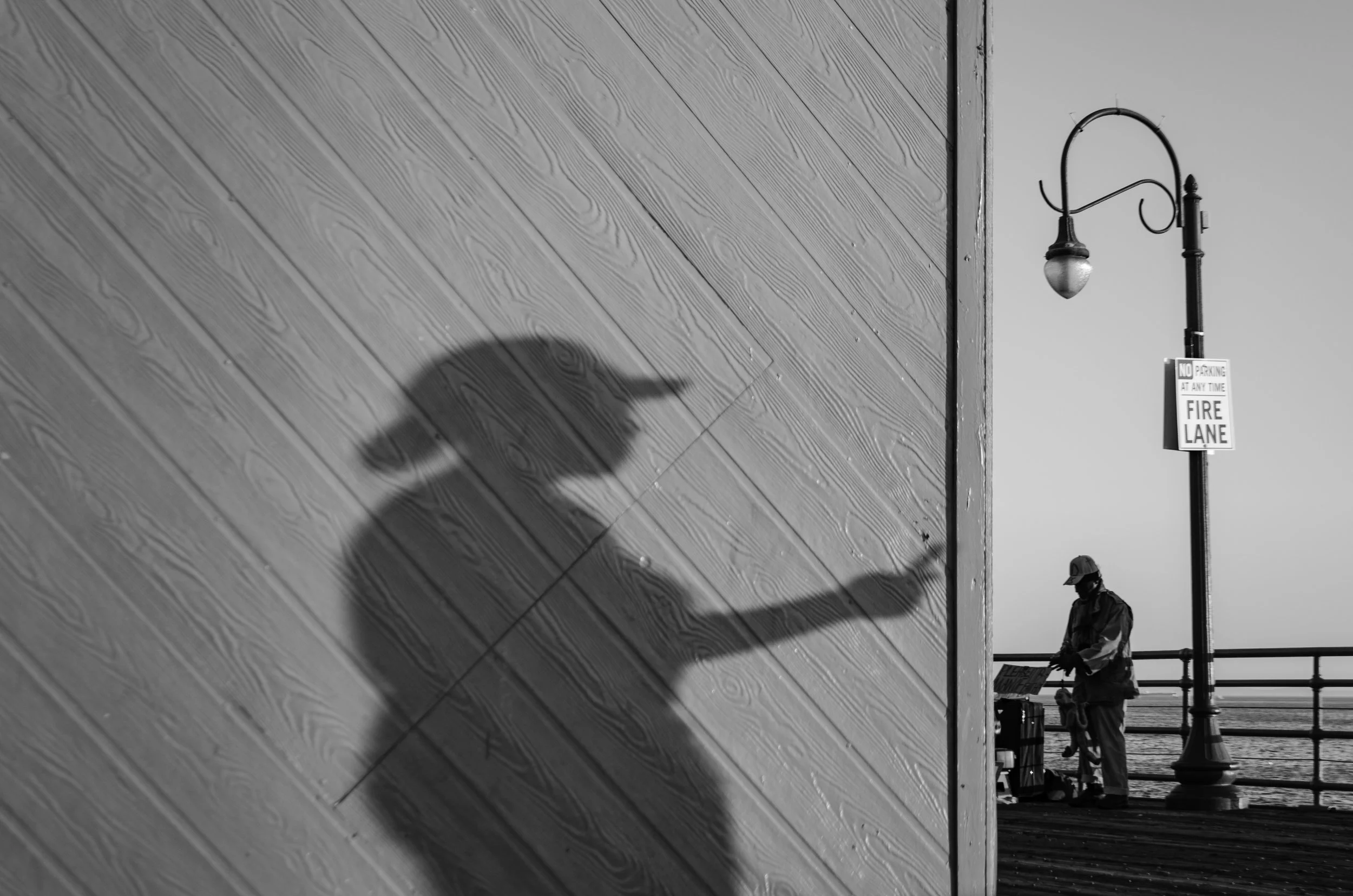 20150306SantaMonicaPier-18-1.jpg