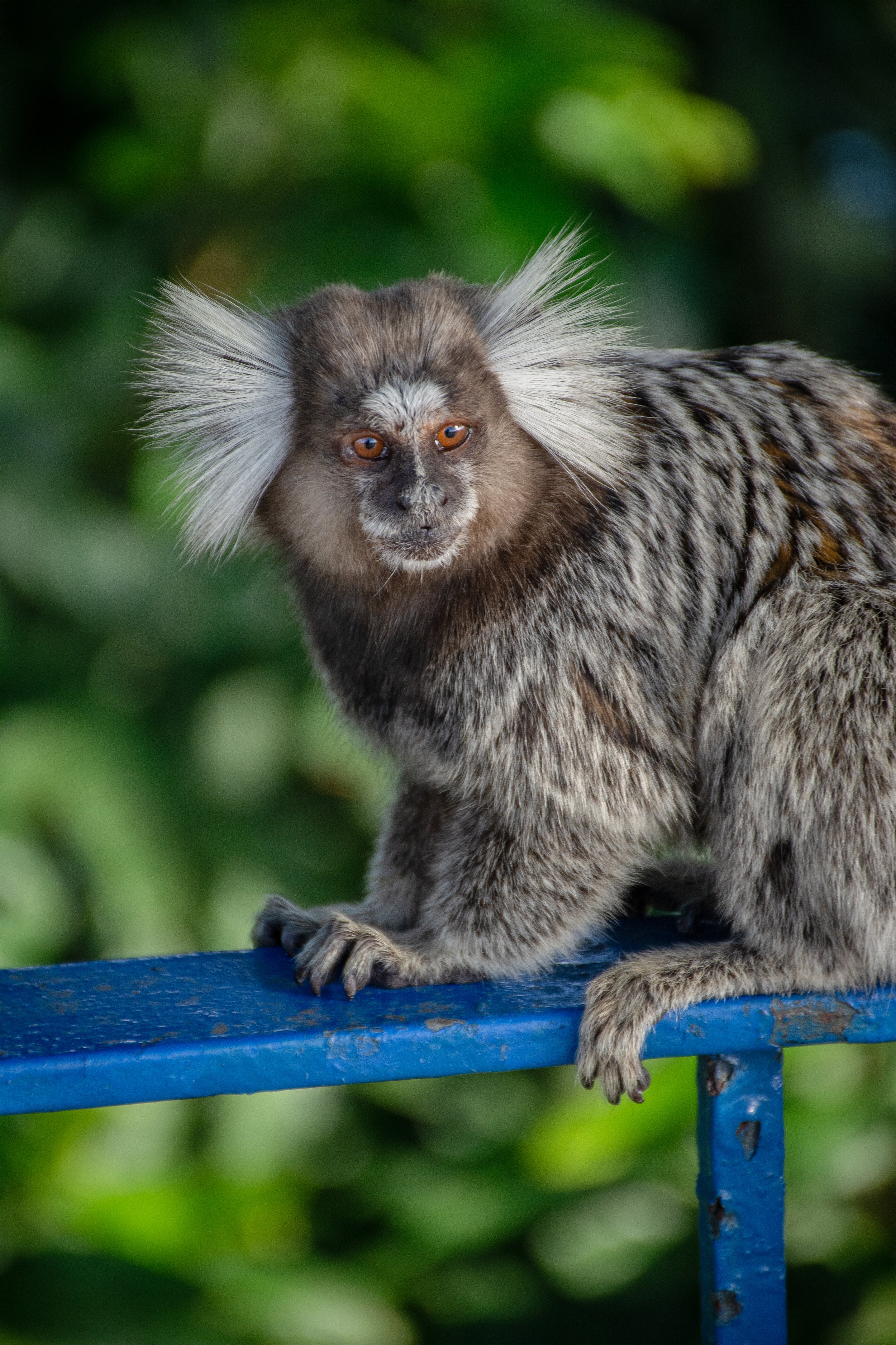 20190608RiodeJaneiroD7100-447-3.jpg
