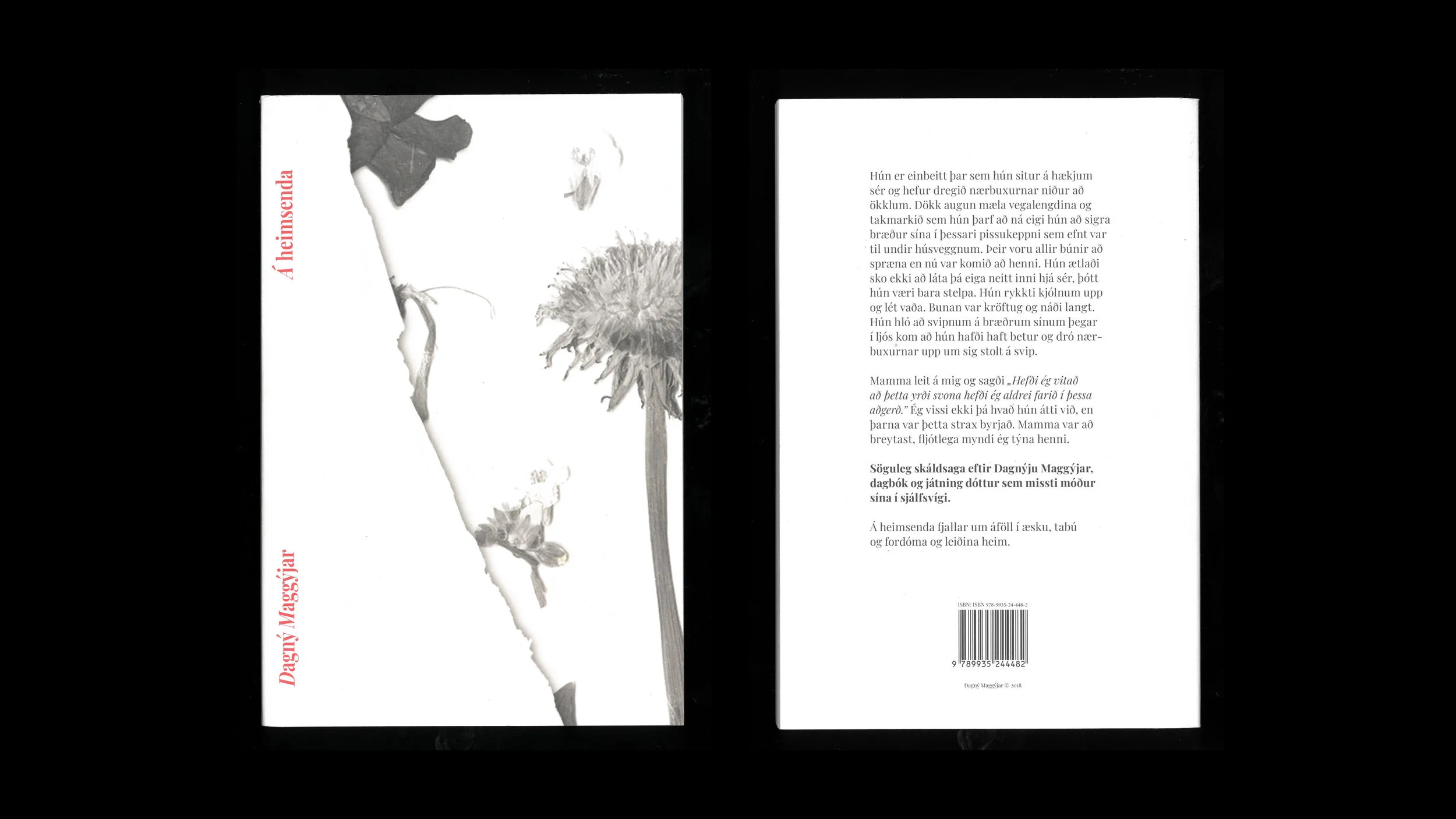 Fít innsending bók.jpg