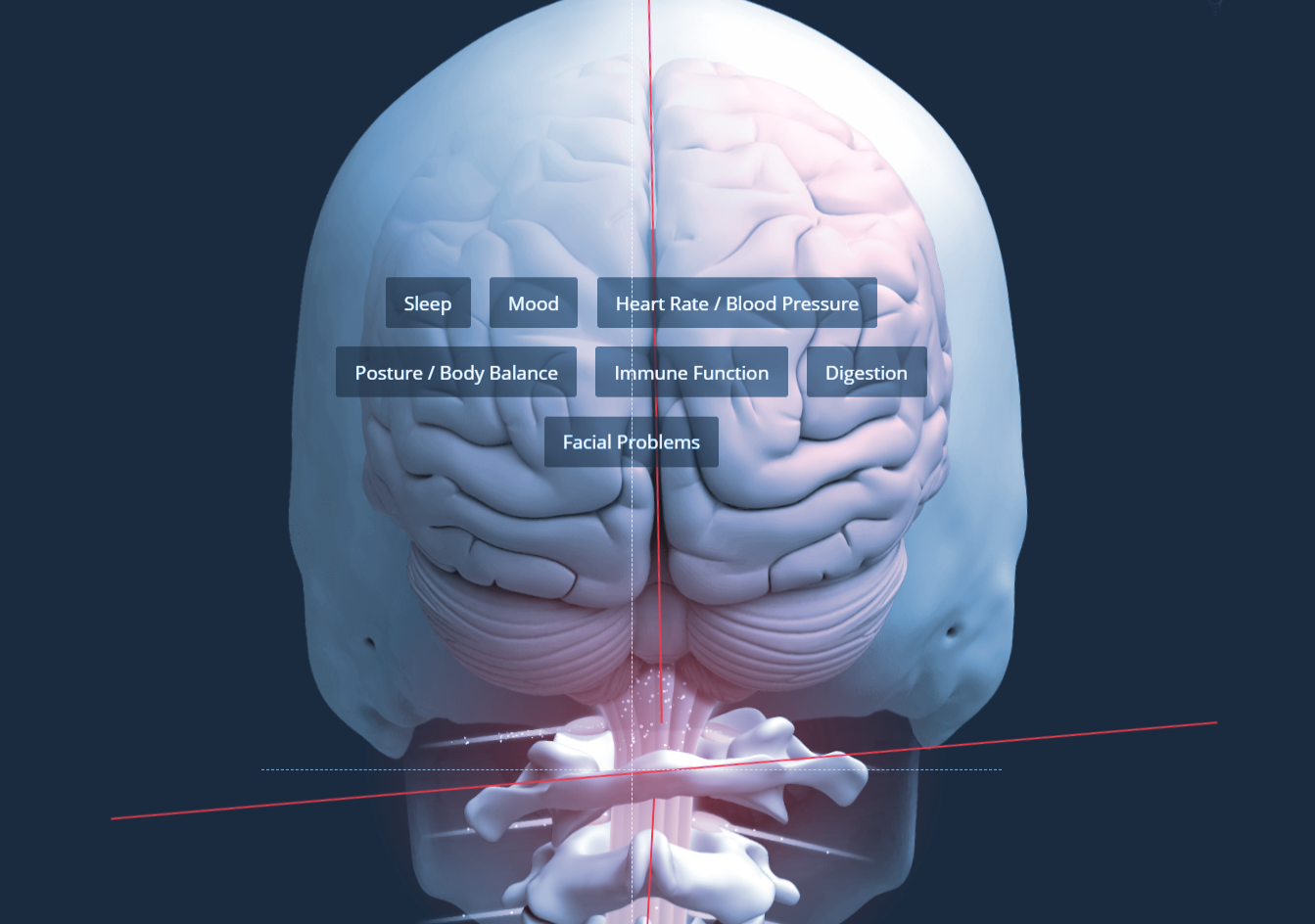 head2.png