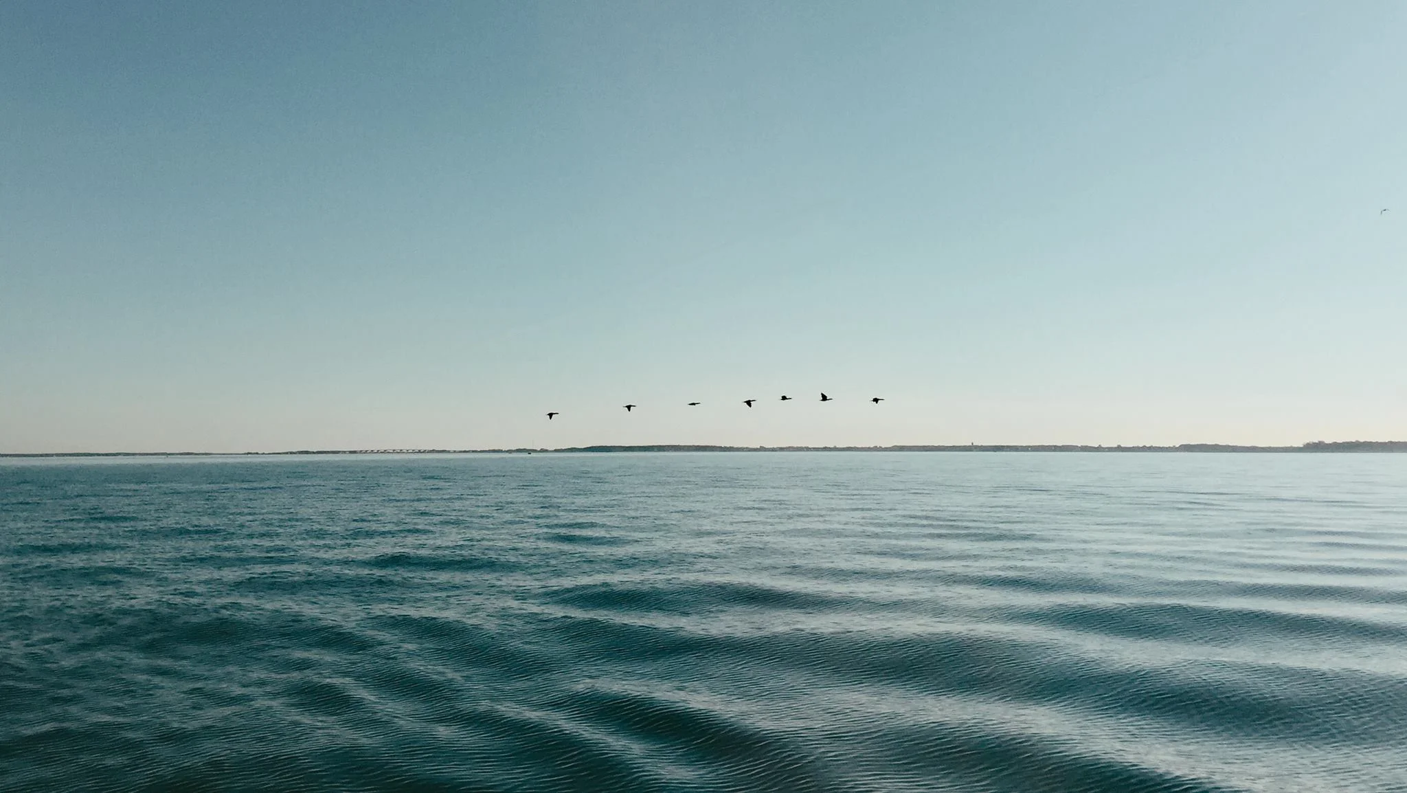 chester river.jpg