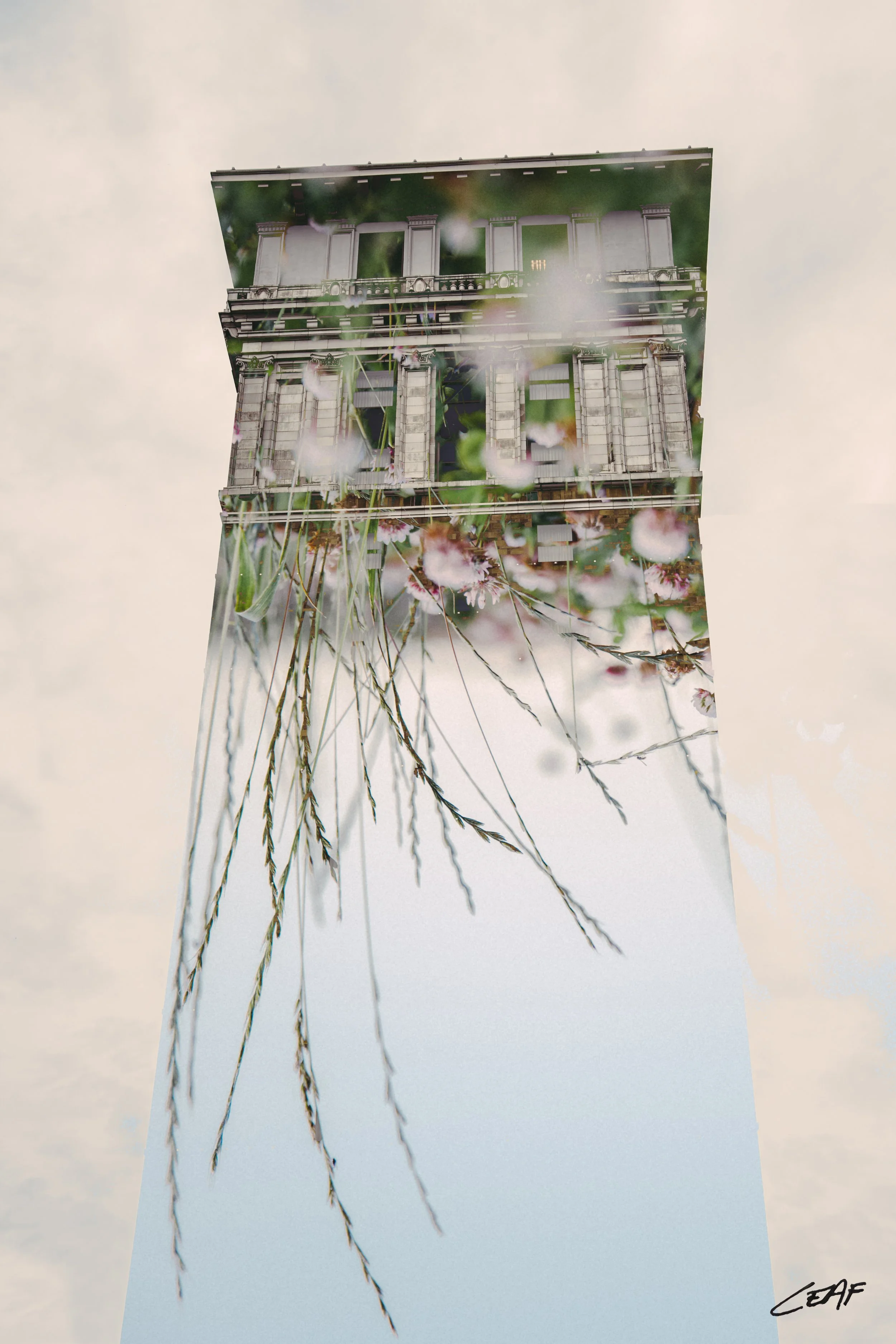 165.365_DSC3157.2 copy12x18.Sig.jpg