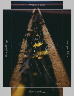 134.365 Canvas Correct.png