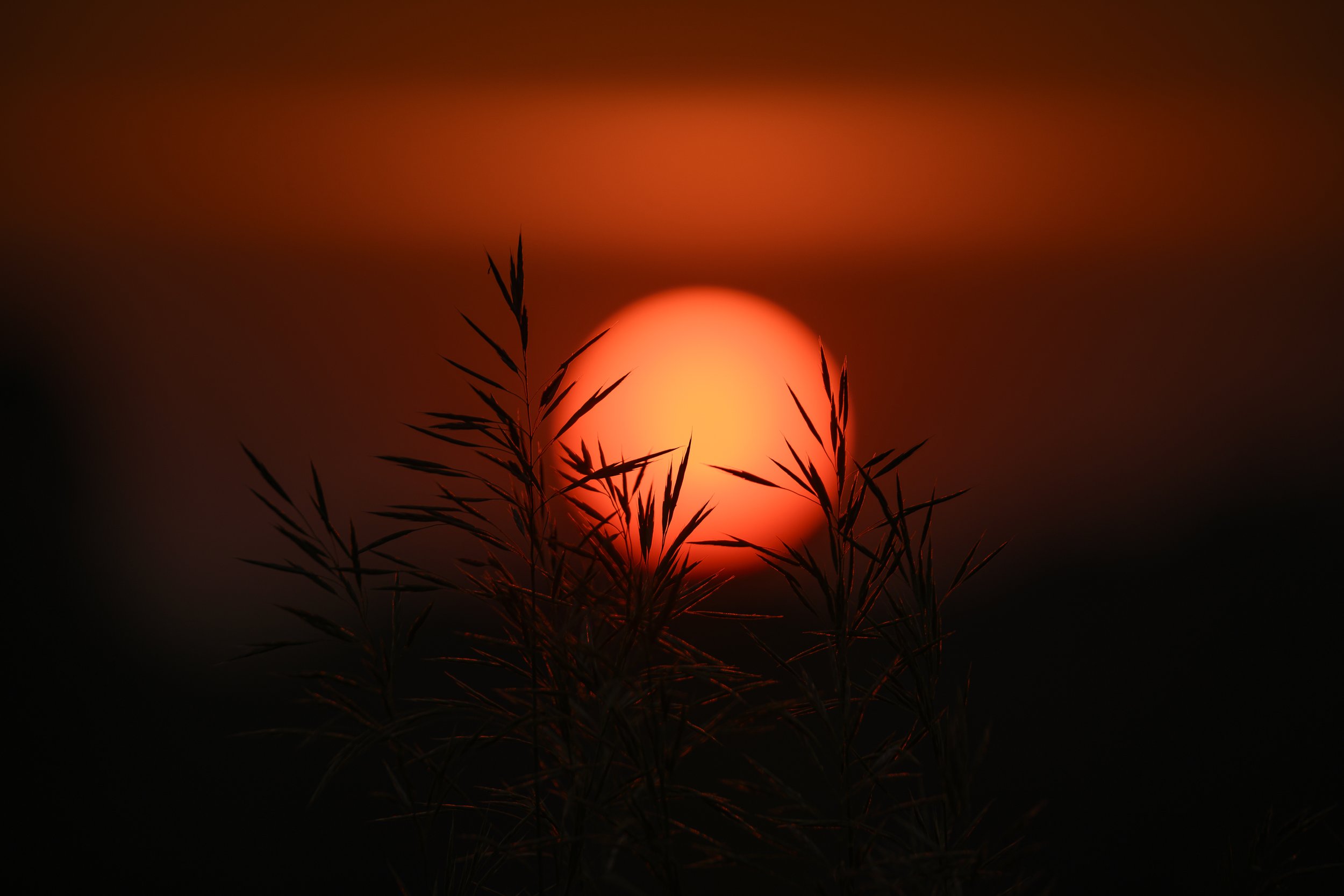 22.52DSC_3365.jpg