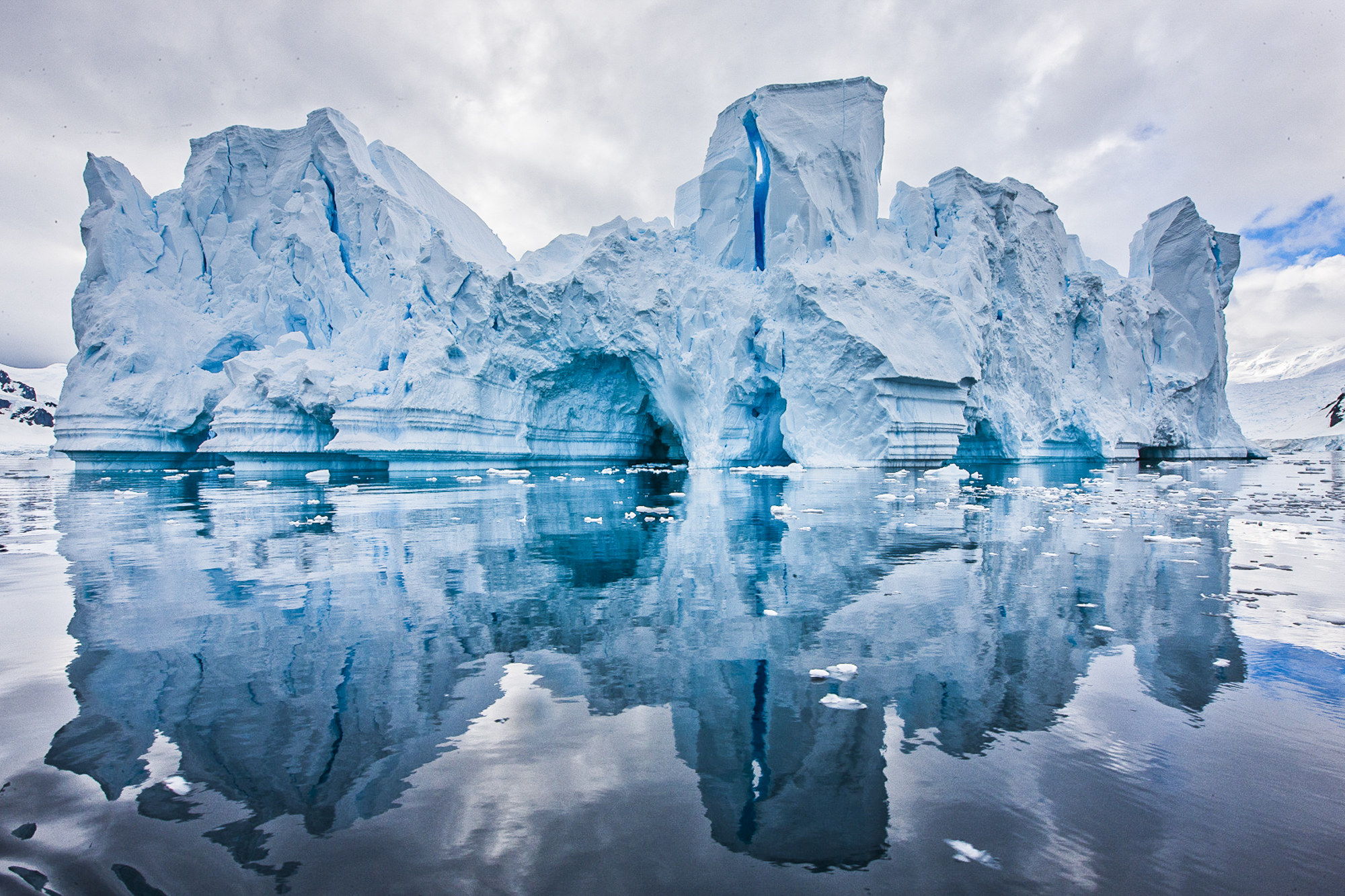 get involved | sea legacy