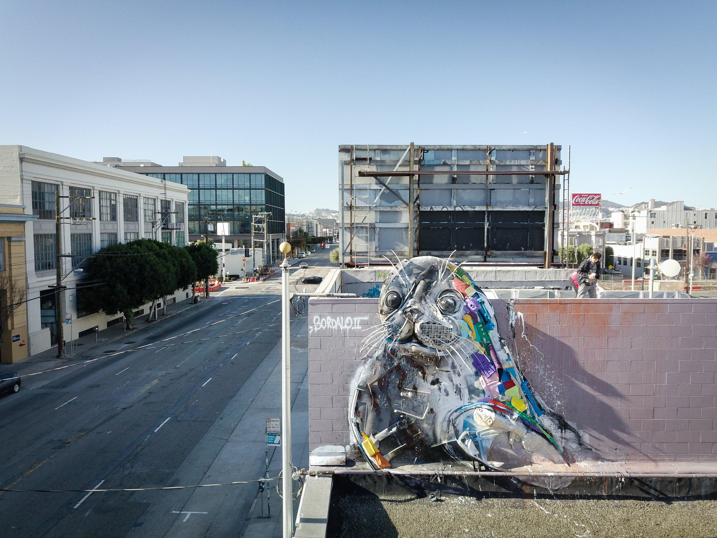 california seal pup | bordalo ii