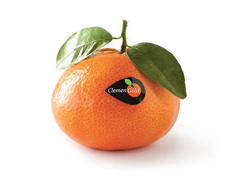 Clemen Gold.jpg