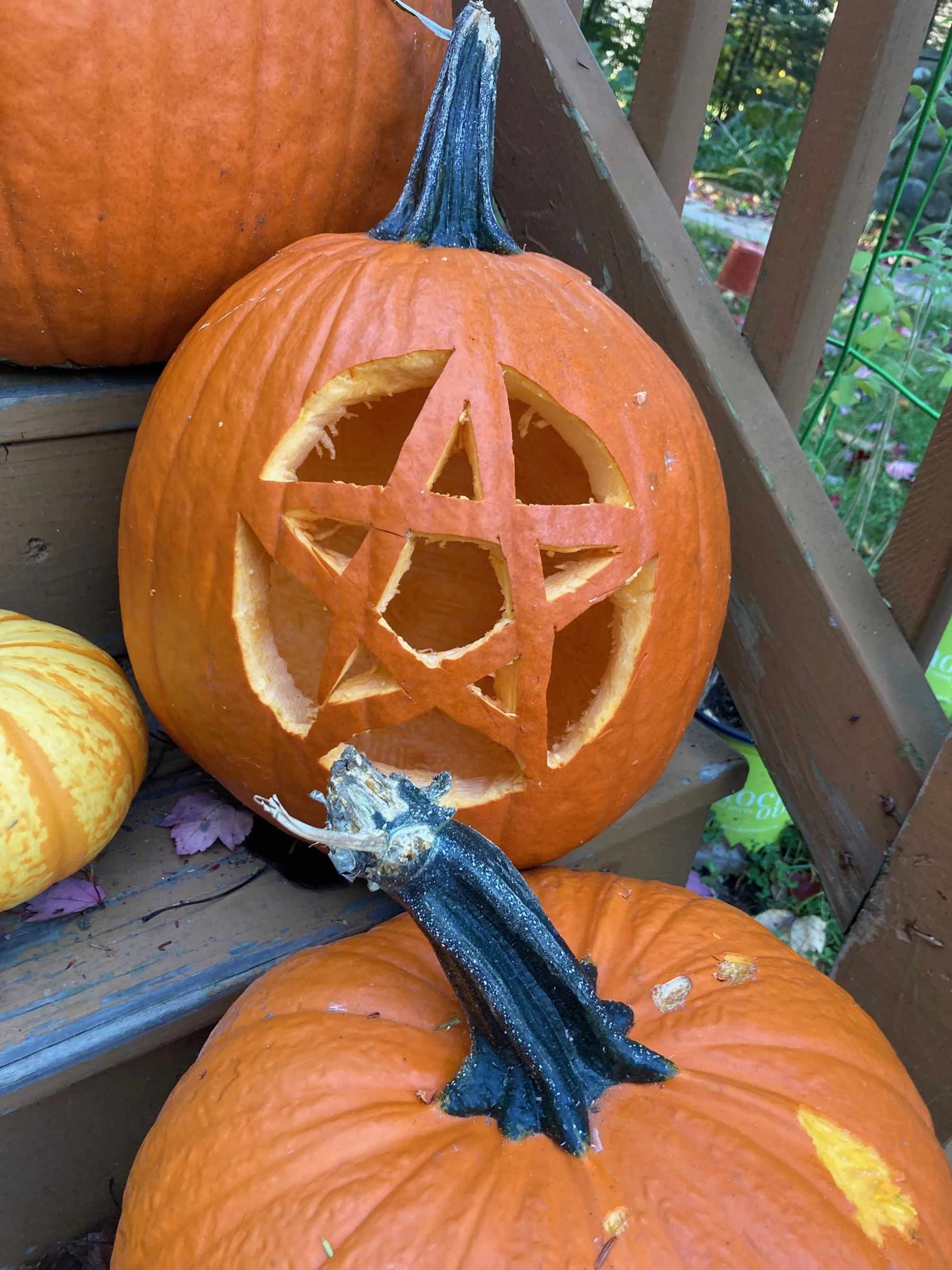Herbs & Magick for Samhain