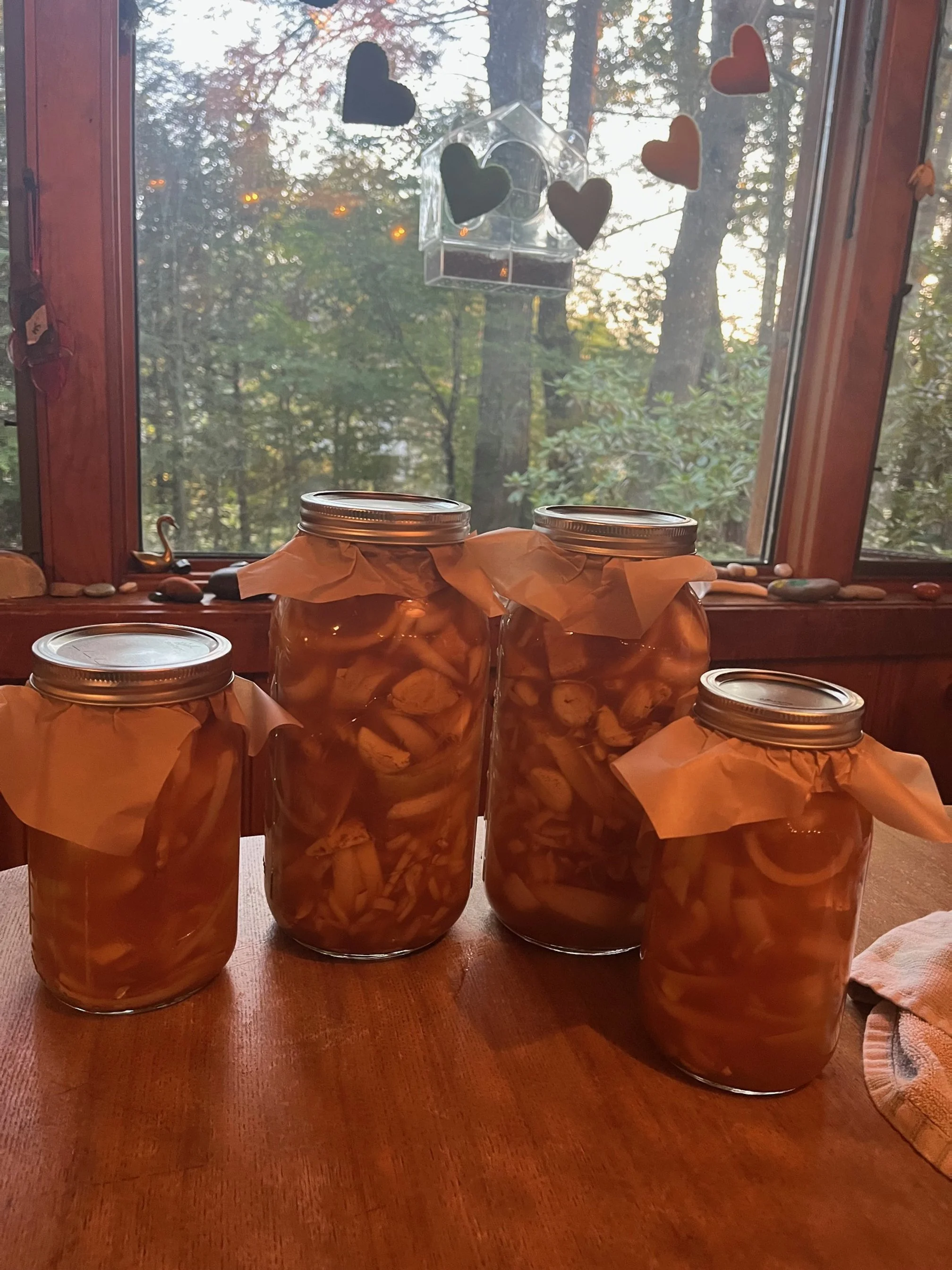 Making Fire Cider