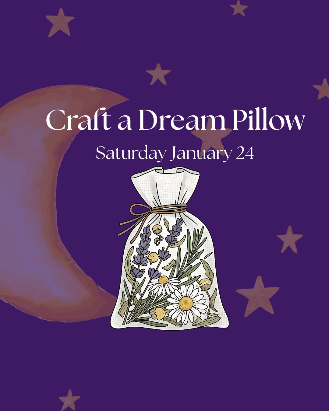 Winter Playshop Series: Craft a Dream Pillow