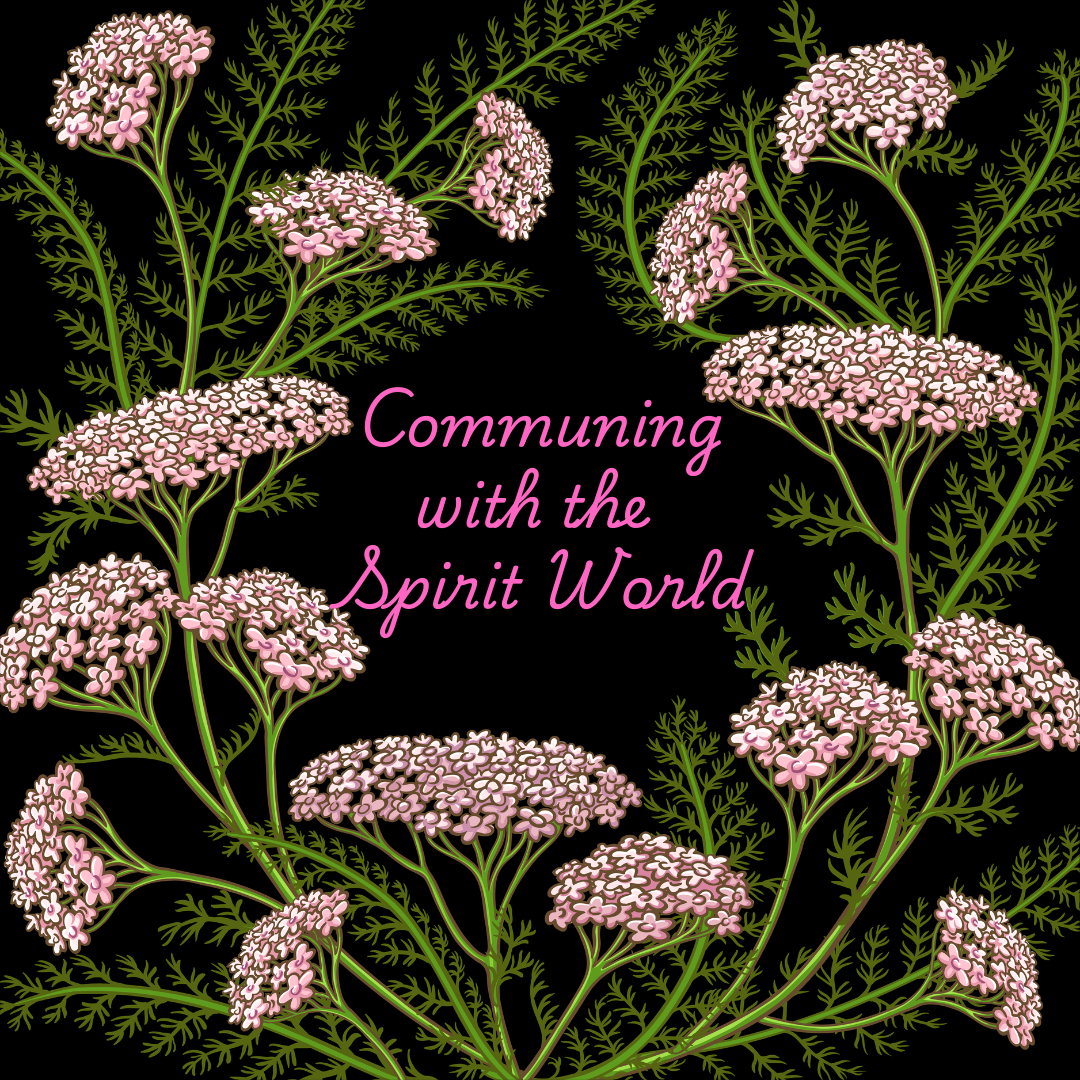 Communing with the Spirit World with Kim Kozak