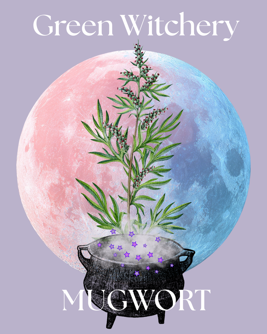 Green Witchery - Mugwort.png