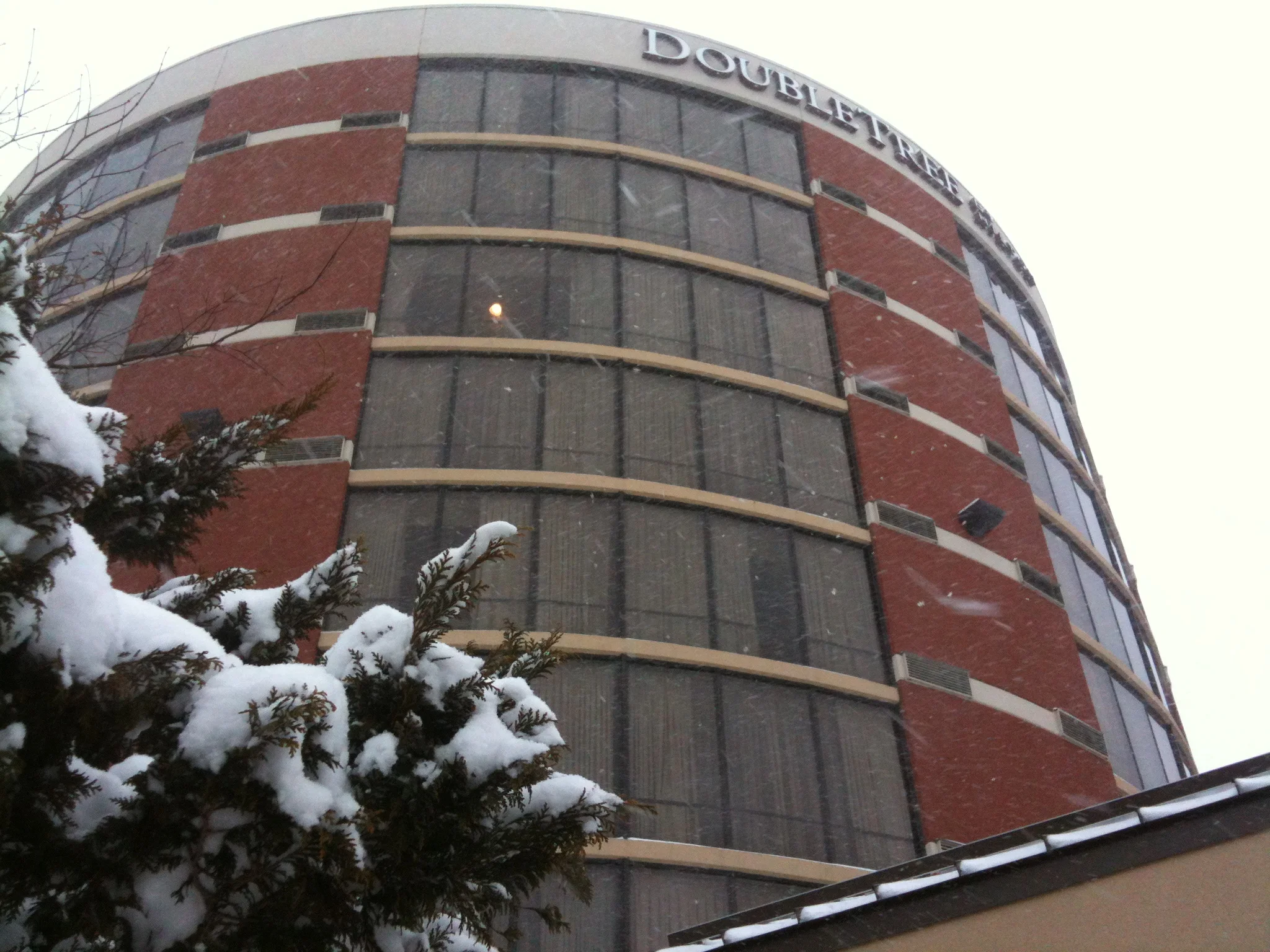 The next great idea for a show