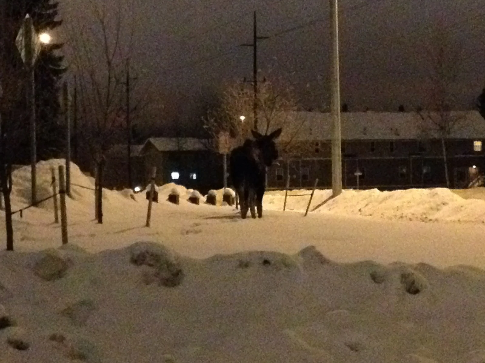 Workshop at ACT in Anchorage