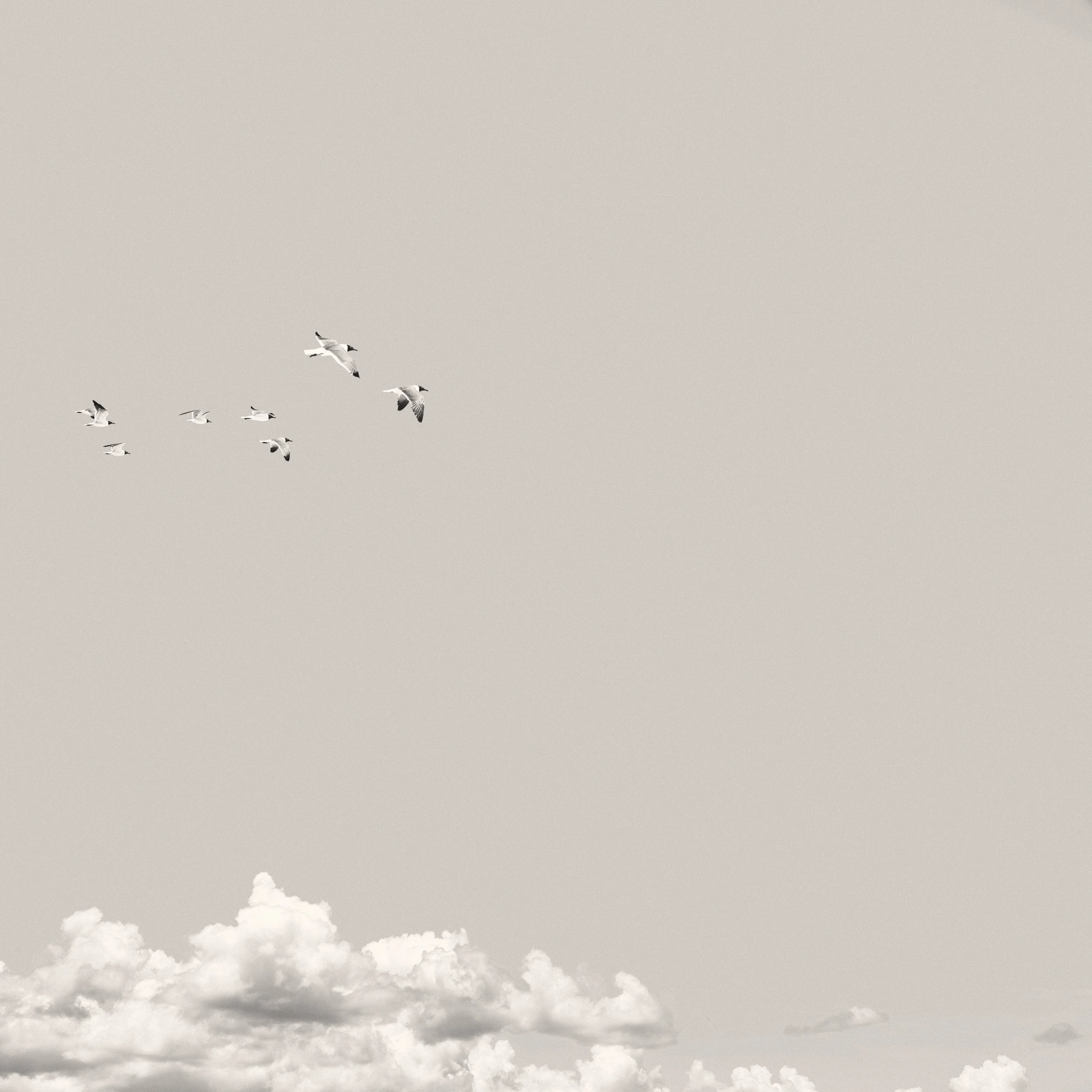 2L3A0161 (1) copy.jpg