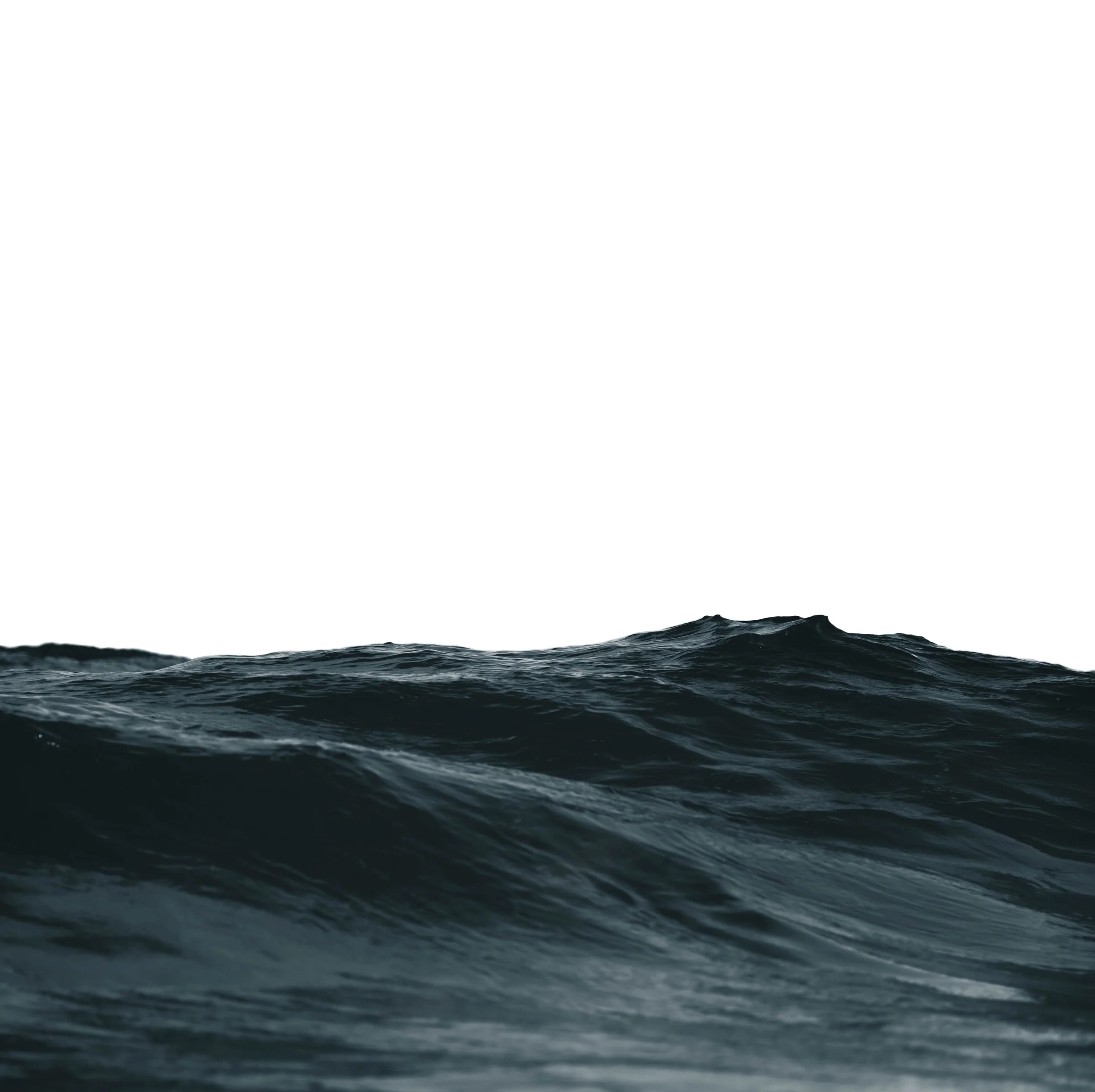 2L3A5828 (faded).jpg