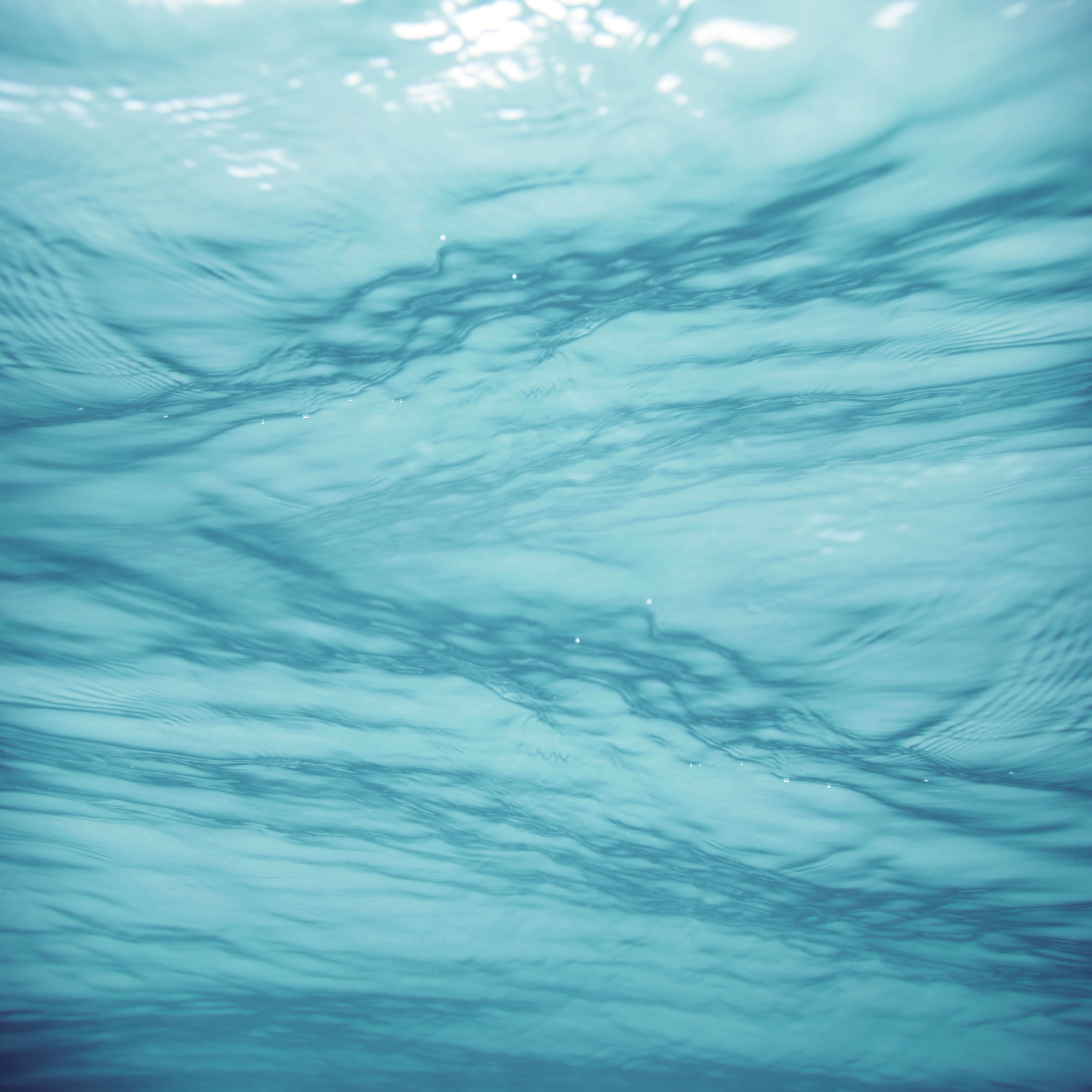 2L3A6511 not square.jpg