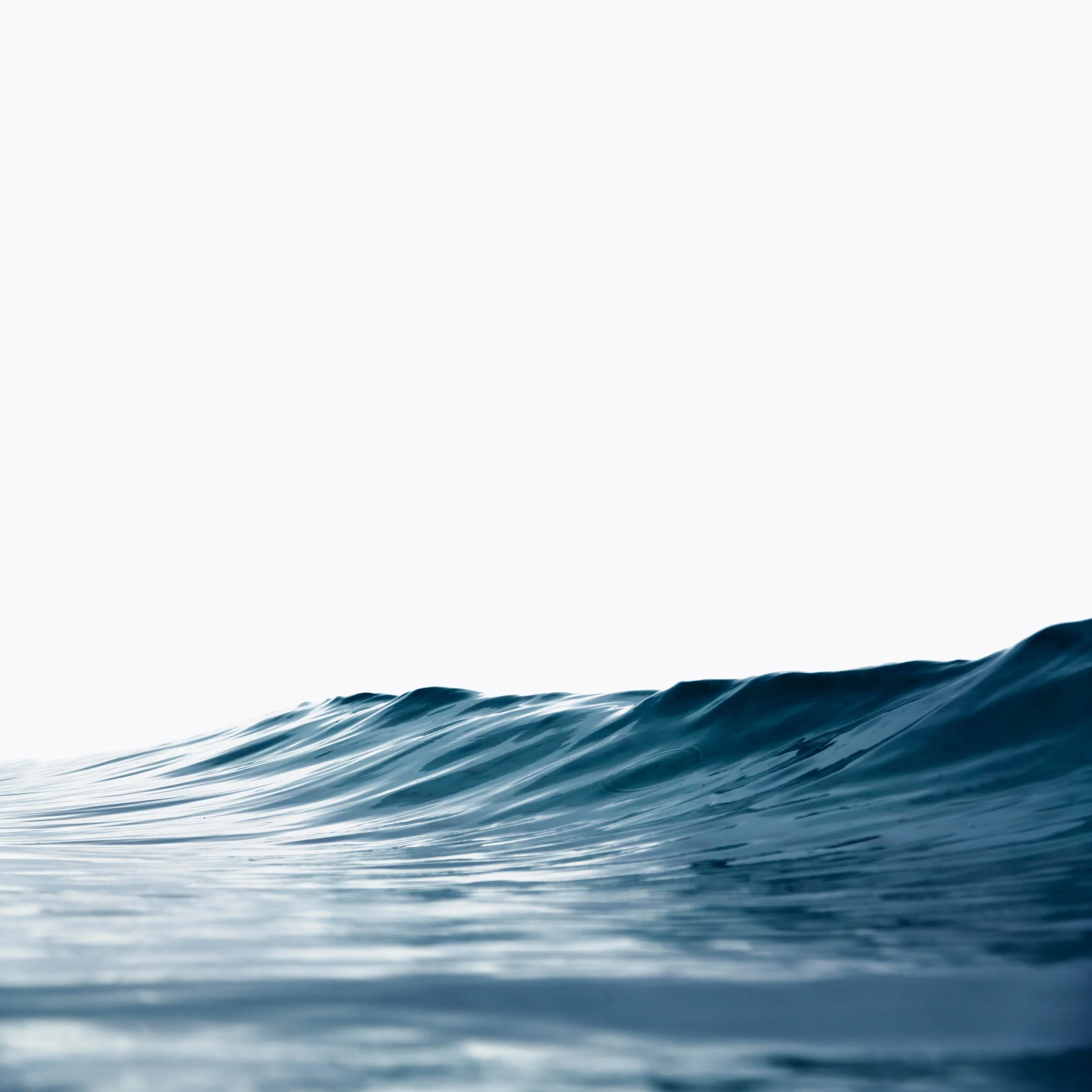 NEW No Banding Blue.jpg