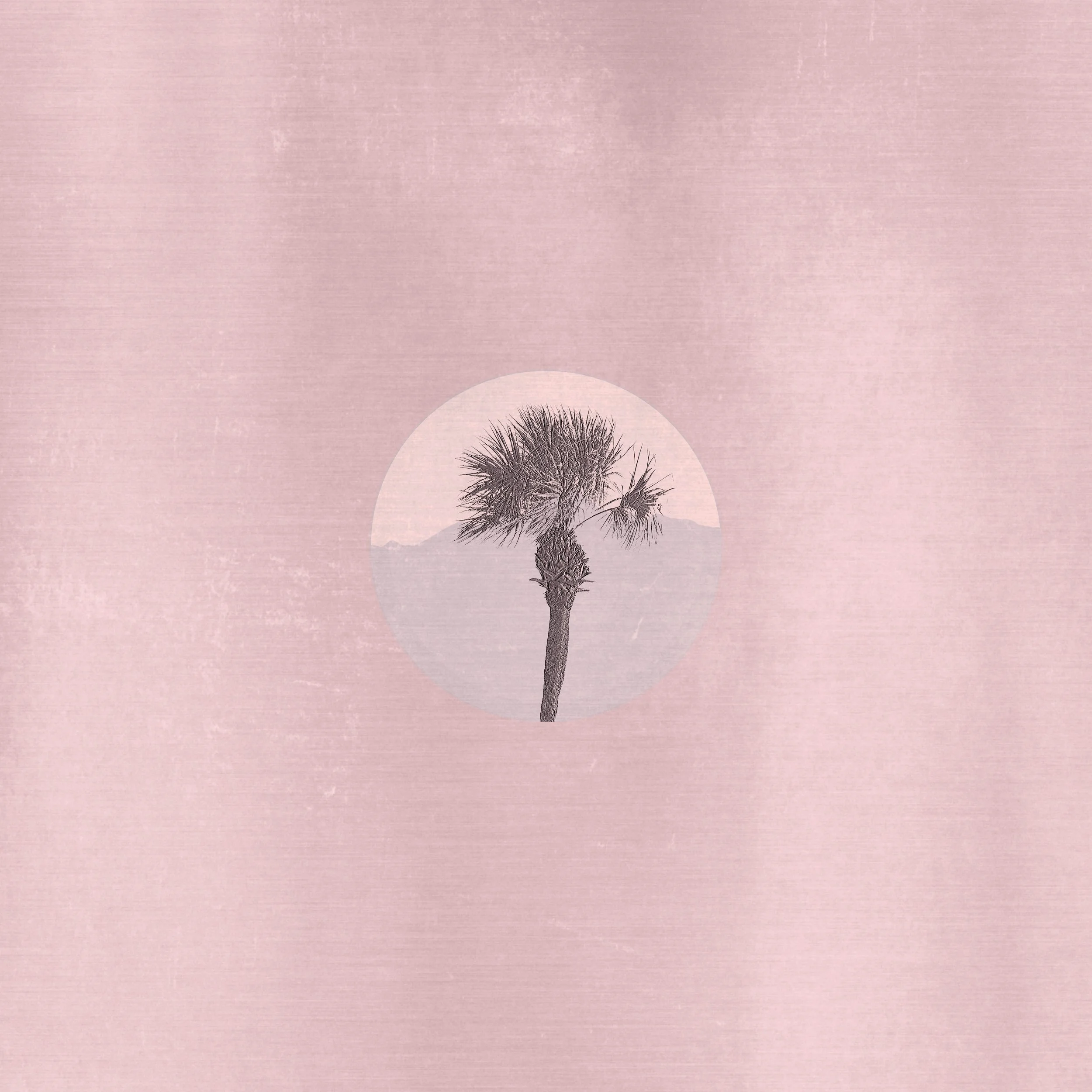 PMountains ALT copy1 copy.jpg