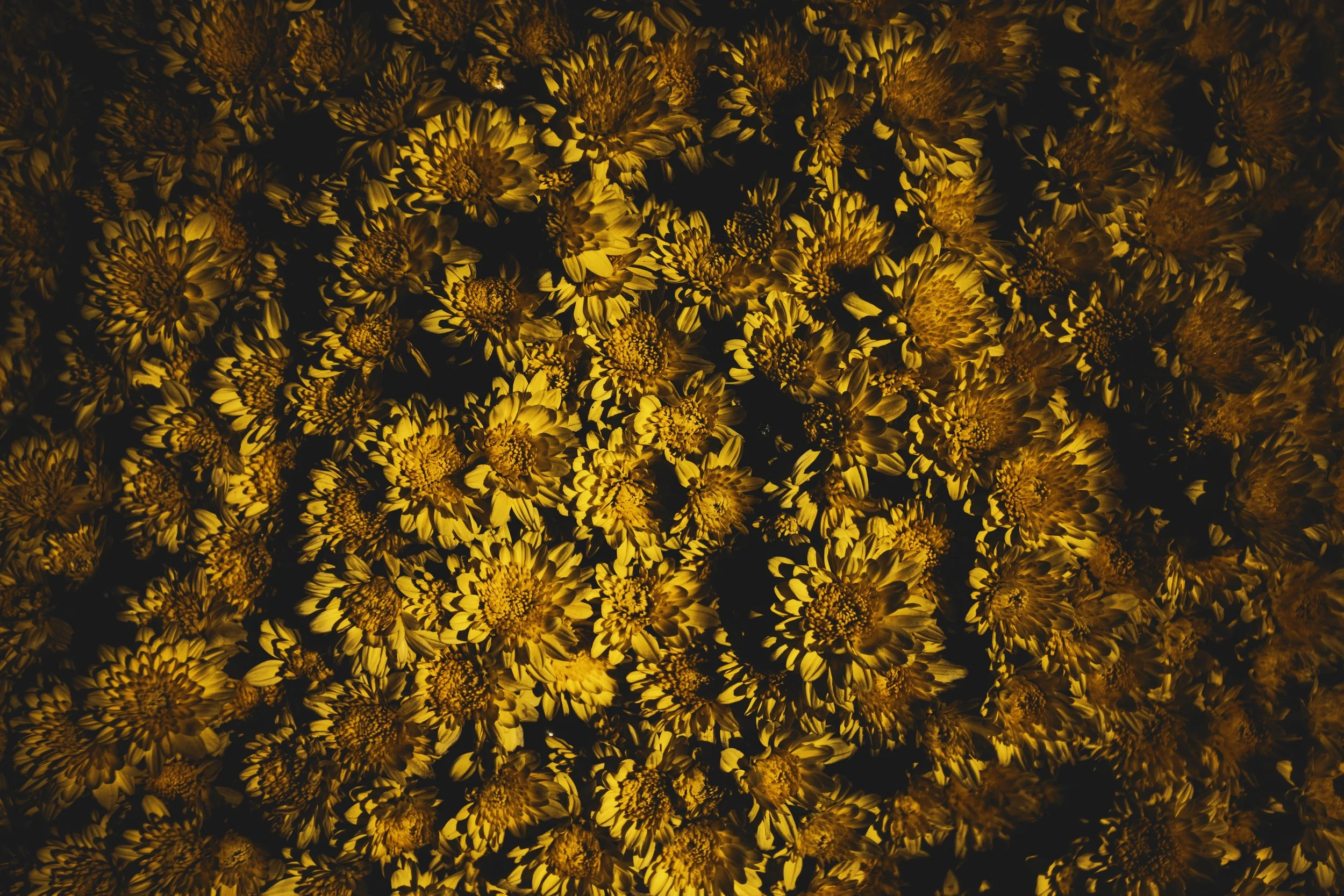 075A7422-3 copy 2.jpg