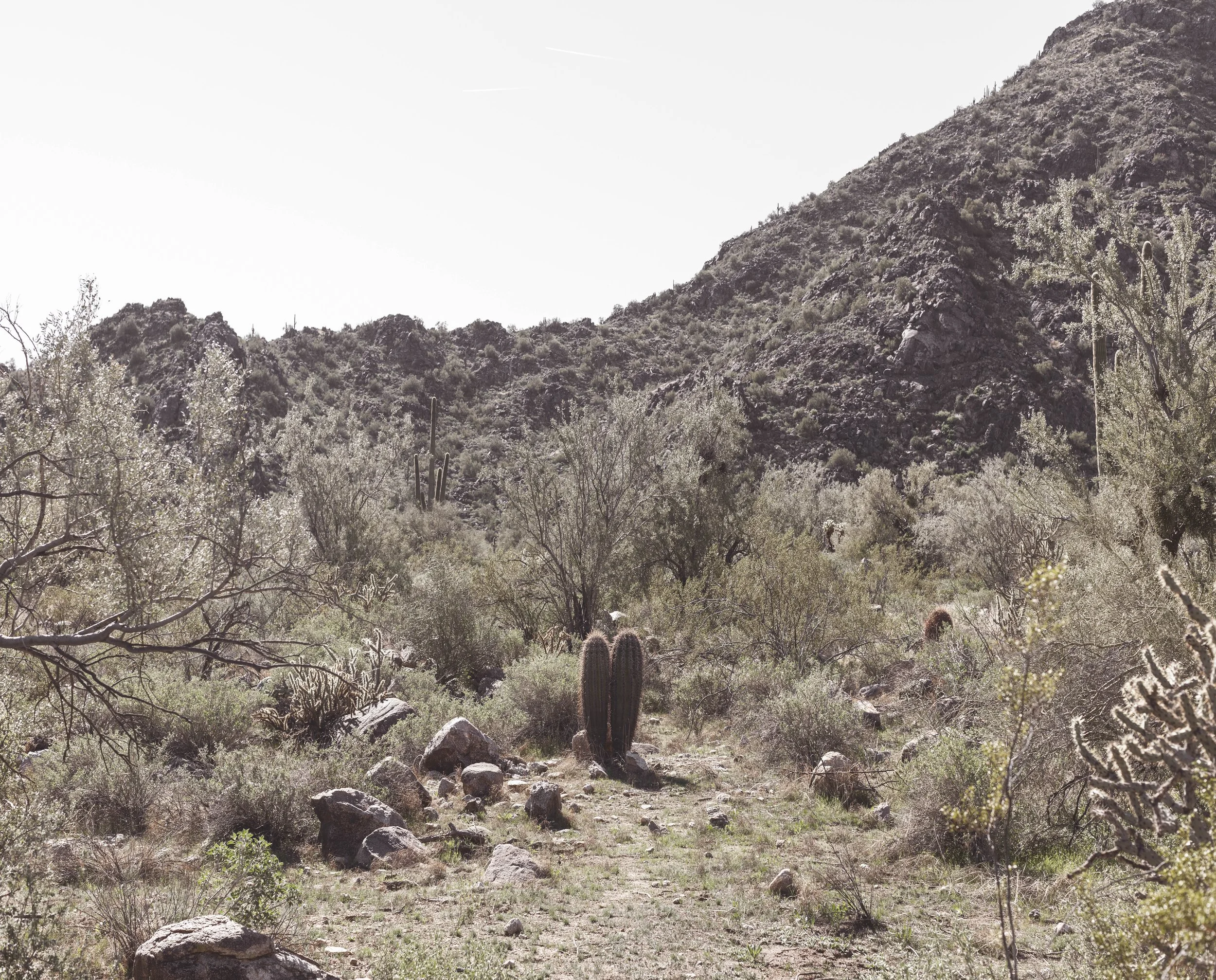 Lovers 075A7104 copy.jpg