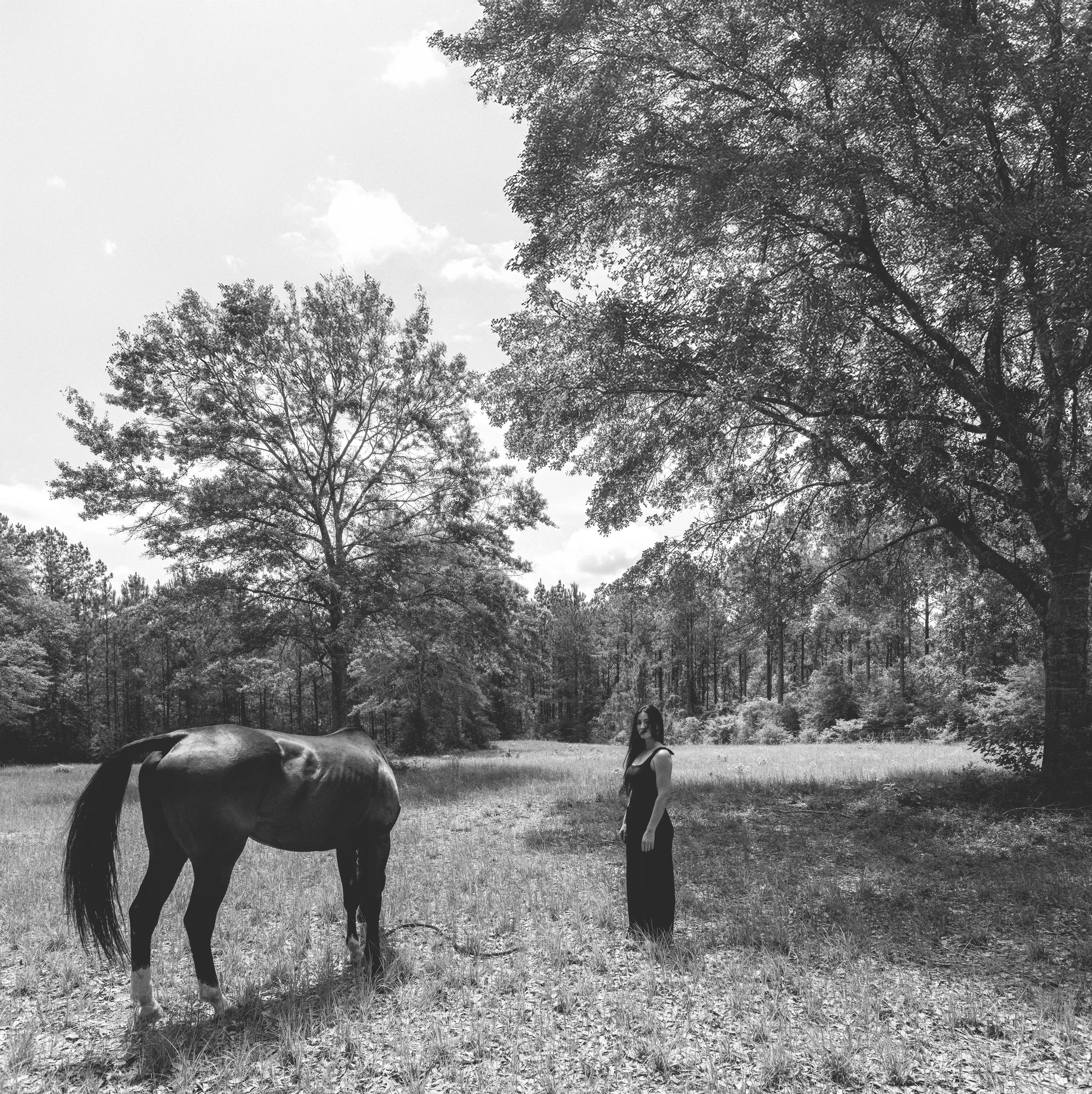 The Field