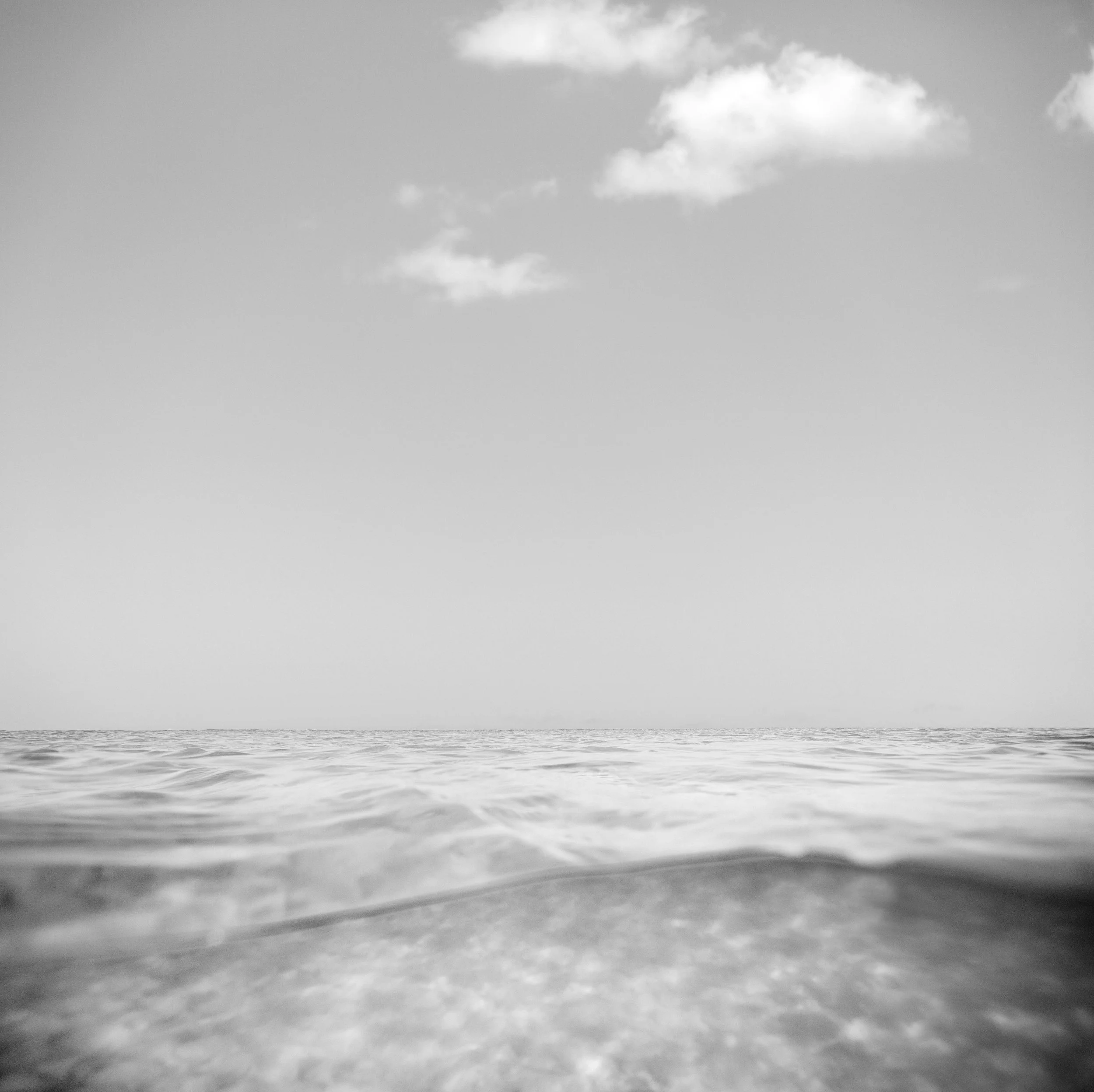 2L3A6565 copy 12.jpg