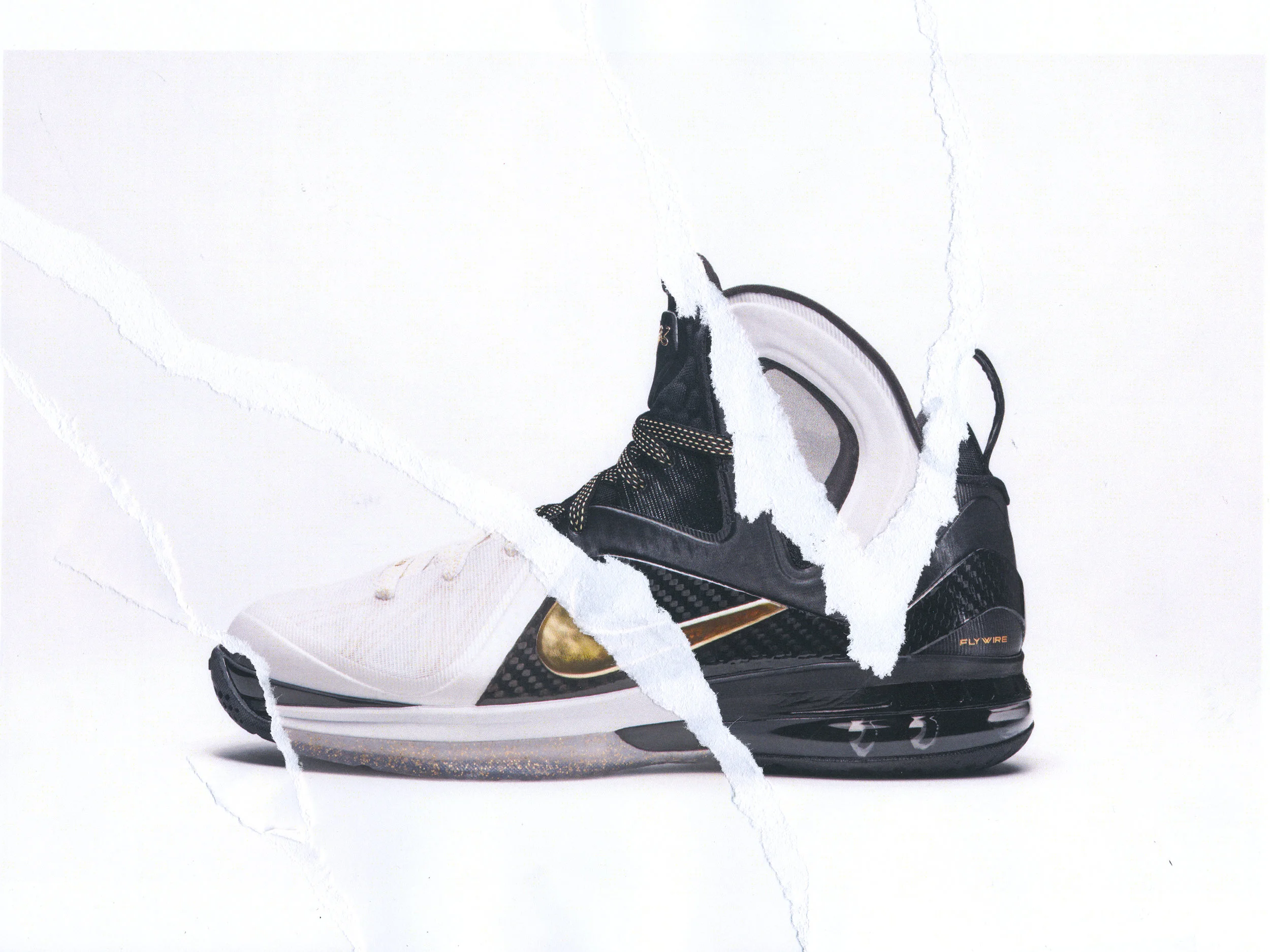 Lebron9Collage.2015w.jpg