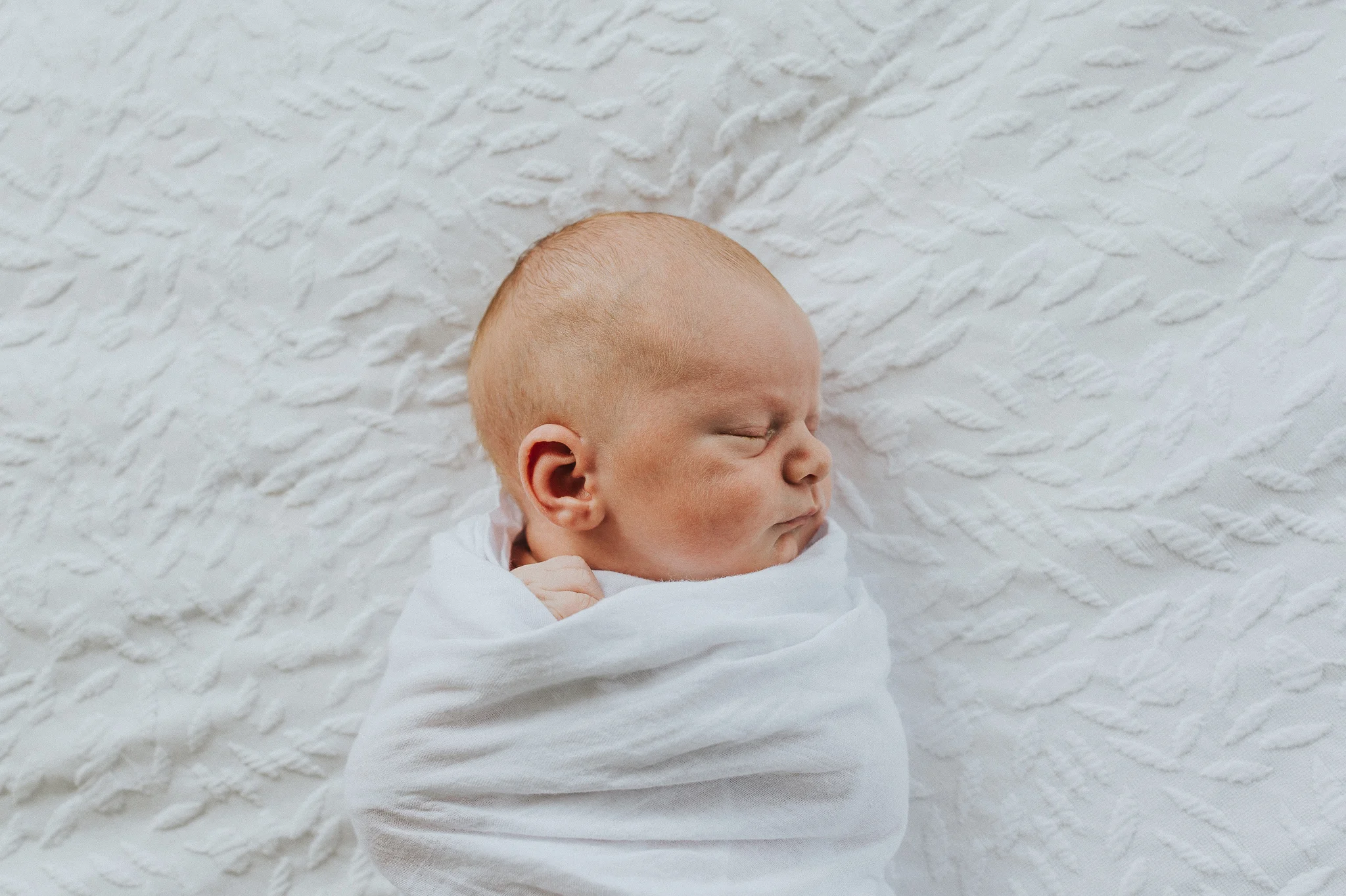 auckland-newborn-photographer
