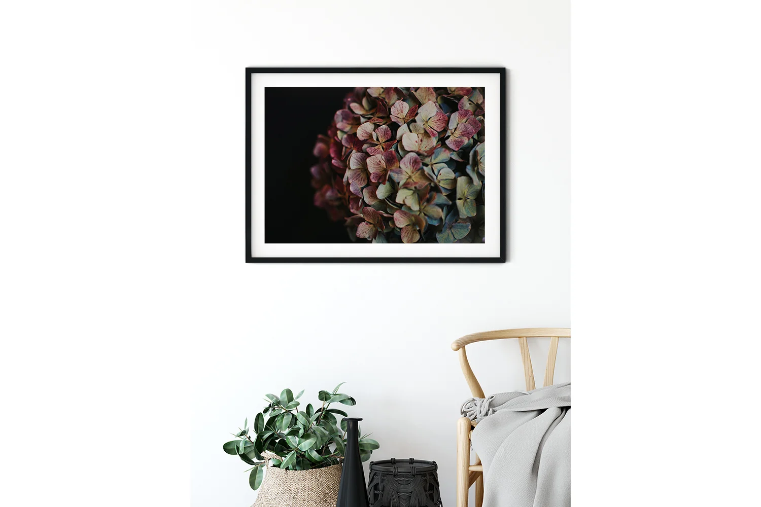 Hydrangea2.jpg