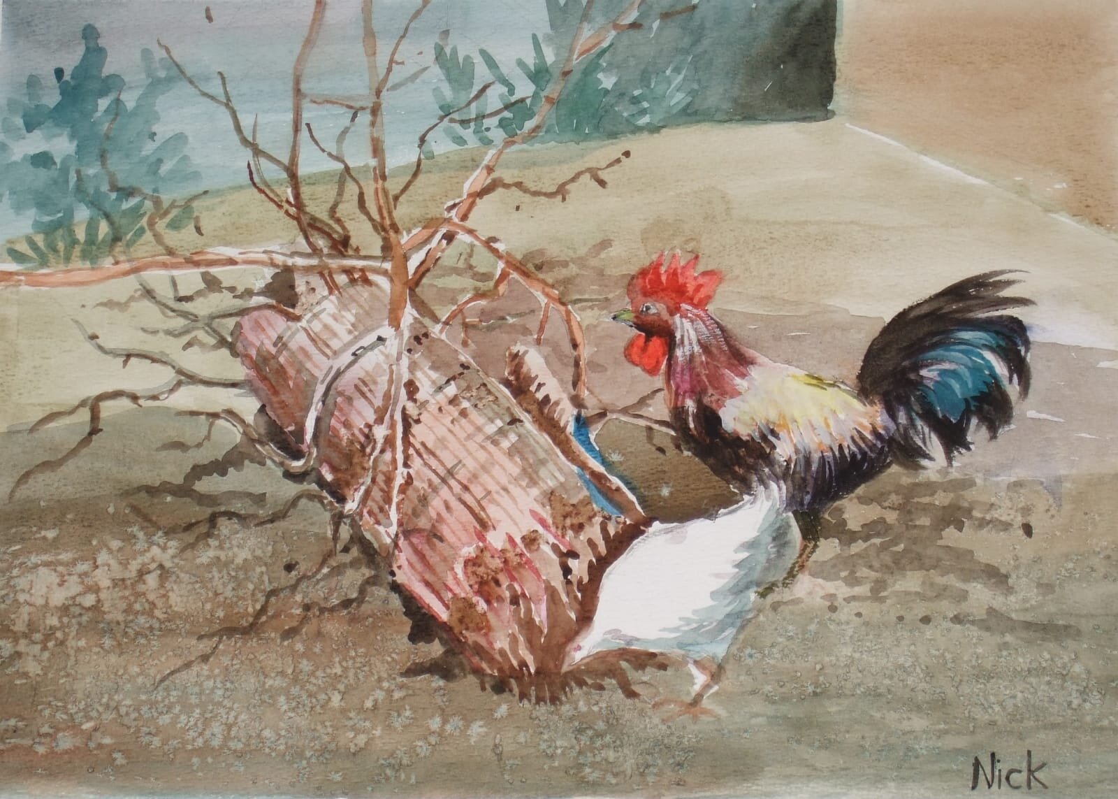 rooster.jpg