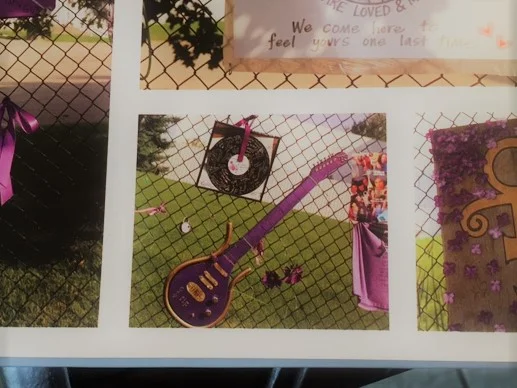 Guitar on fence close up.JPG